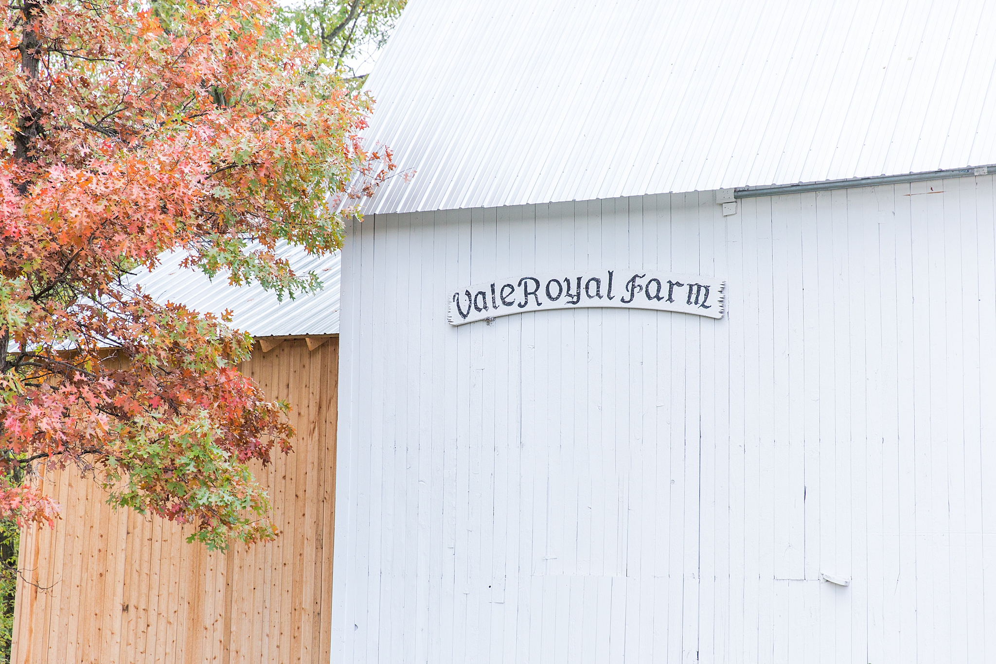 rustic-whimsical-wedding-photos-the-vale-royal-barn-in-fenton-michigan-by-courtney-carolyn-photography_0010.jpg