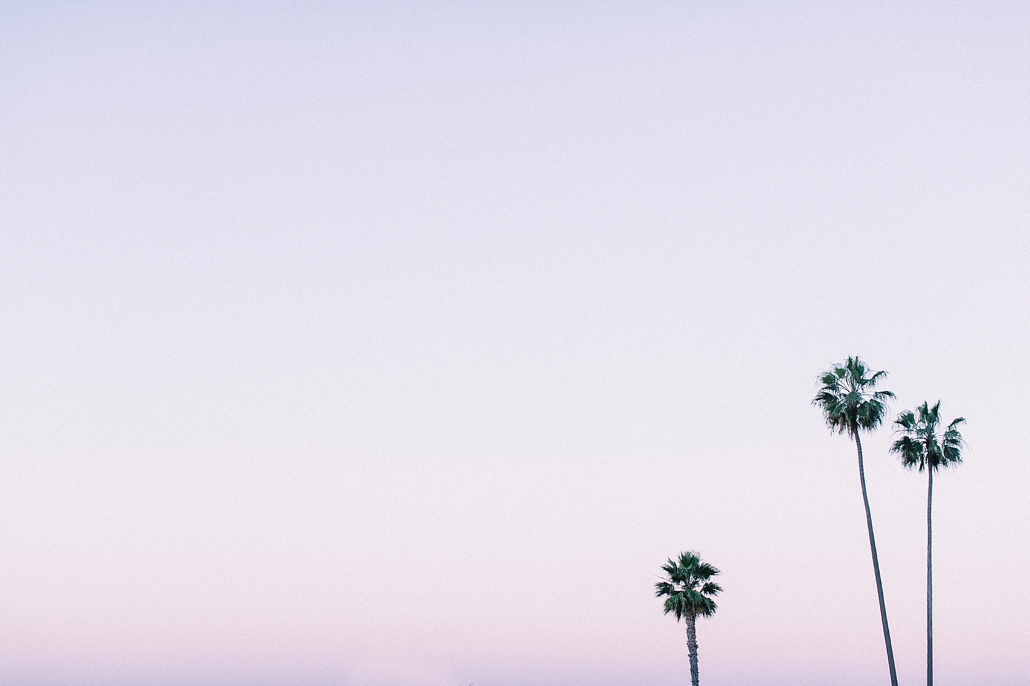 three-day-weekend-guide-to-a-las-vegas-bachelorette-party-by-courtney-carolyn-photography_0018.jpg