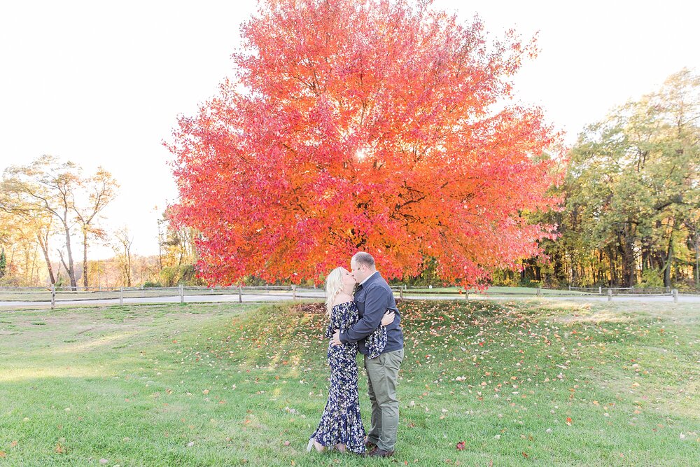 detroit-wedding-photographer-fall-engagement-photos-at-huron-meadows-metropark-in-briton-mi-by-courtney-carolyn-photography_0006.jpg