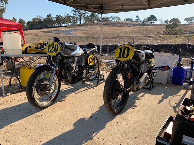 Norton has found a good friend at the vic titles this weekend.