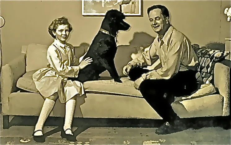 sofa_2.jpg