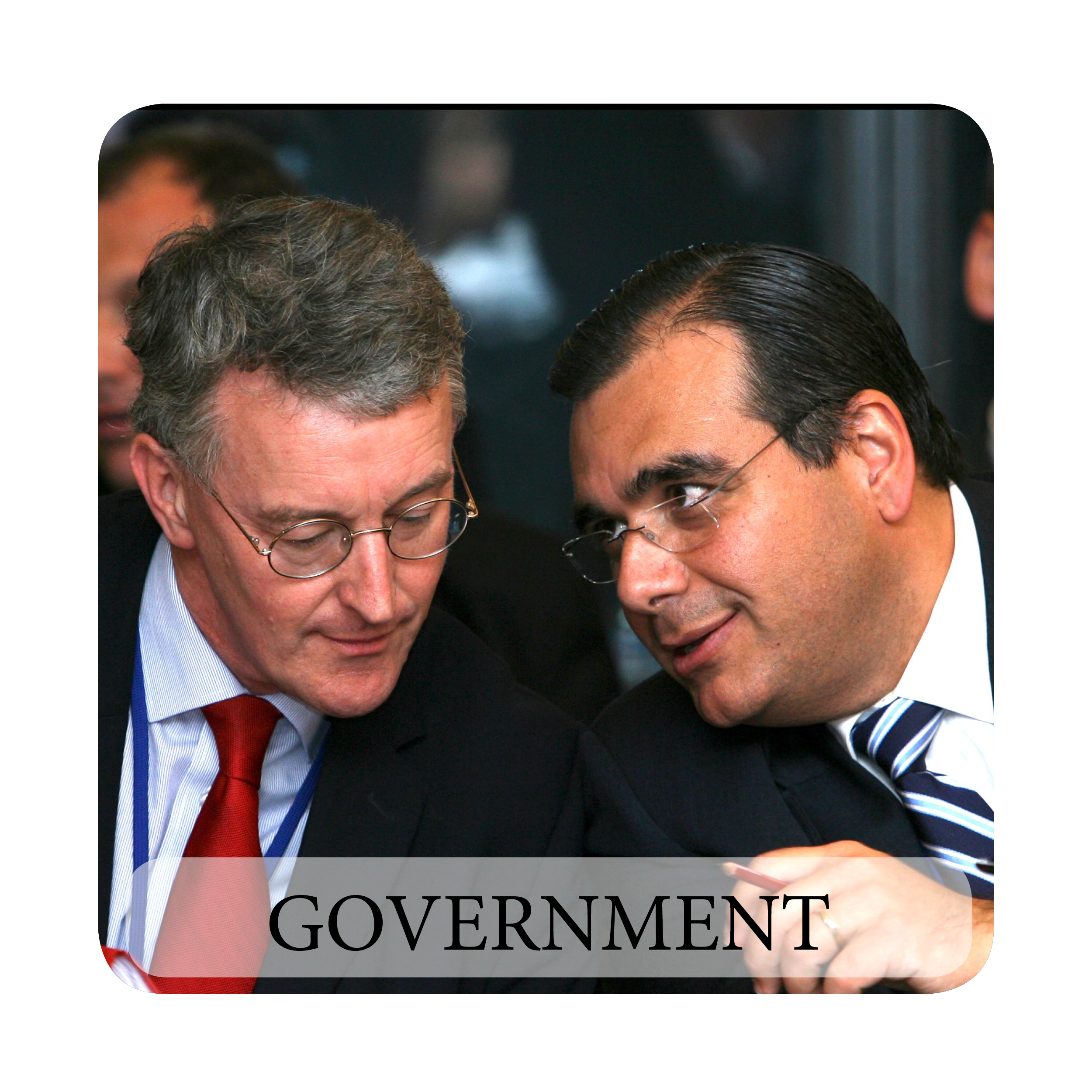 TheDaboubPartnership_widgets-government-4.png