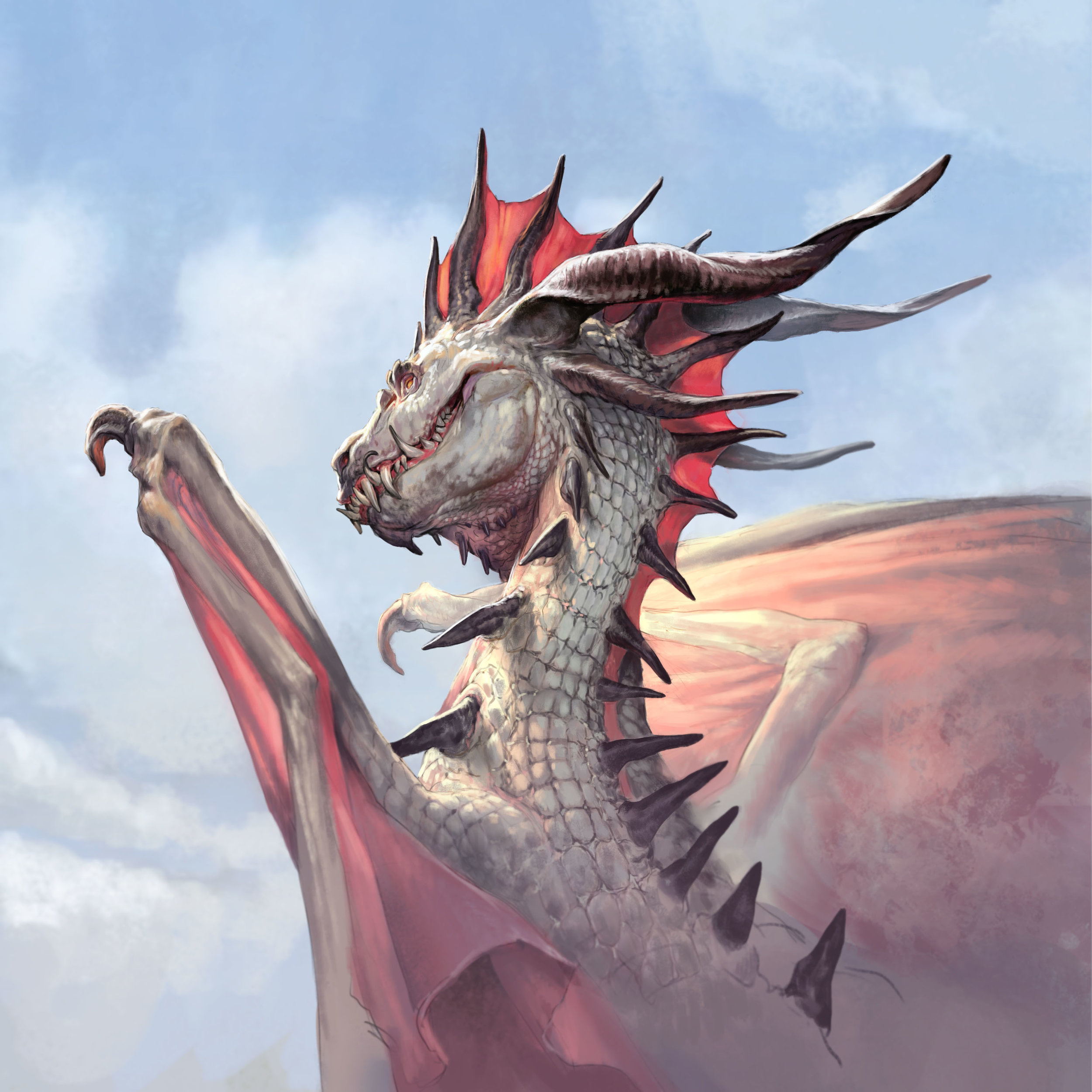 art sleeve dragon.jpg