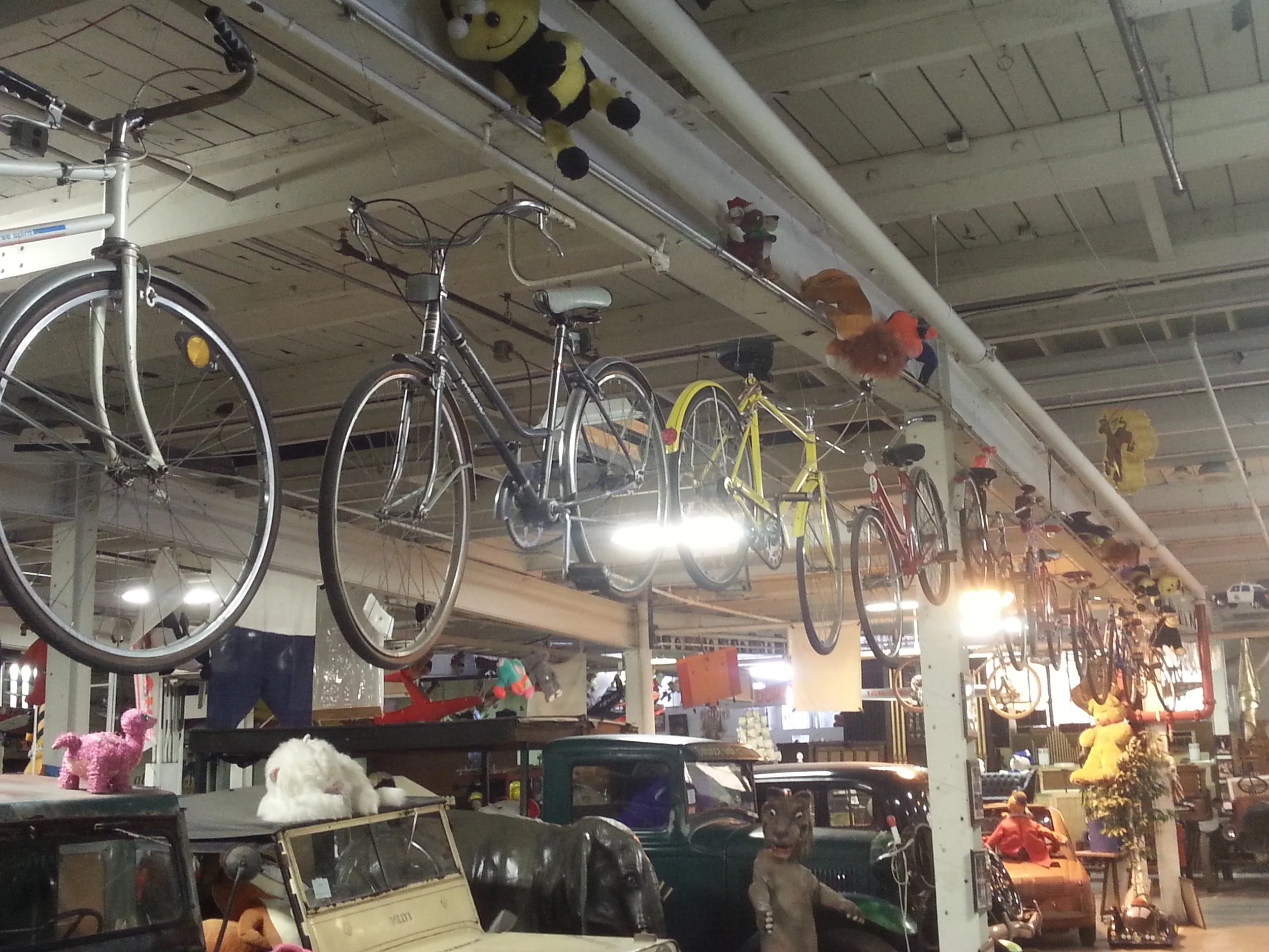 Do we have bikes at the American Treasure Tour? Do we ever!