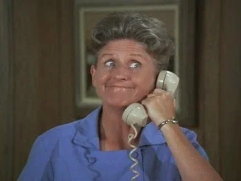 And Ann. B. Davis as Alice. The nutty housekeeper who was part of the family...but still forced to wear a uniform.