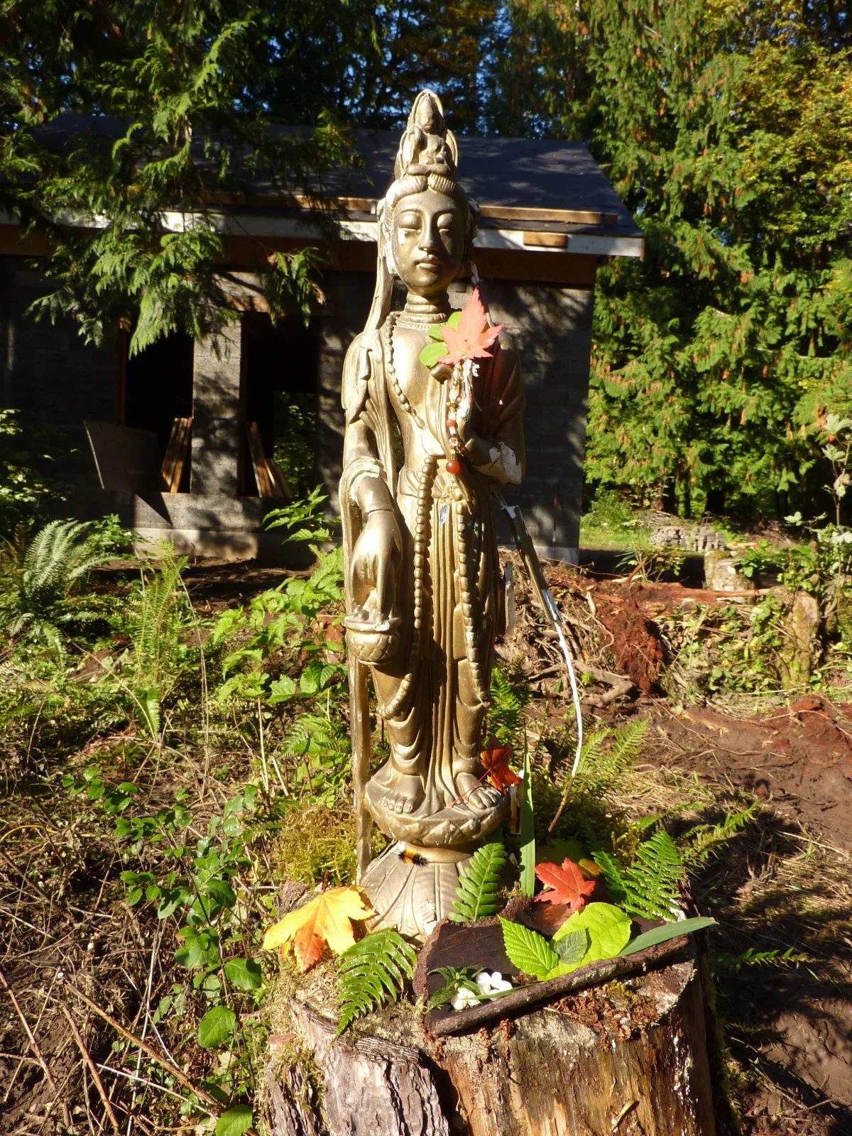 Padma Devi in the Fall