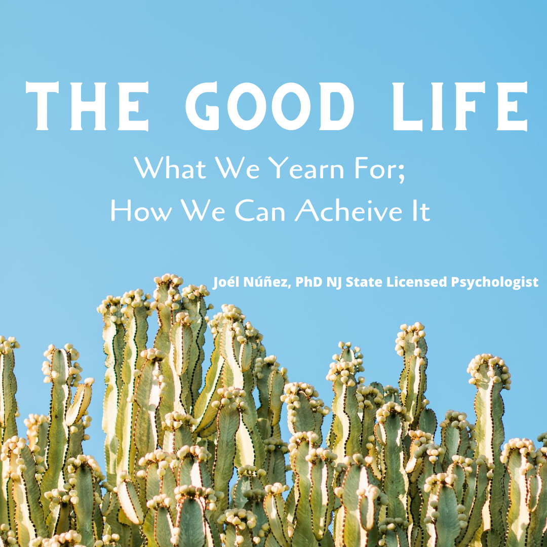 C- The Good Life — Dr. Joel Núñez