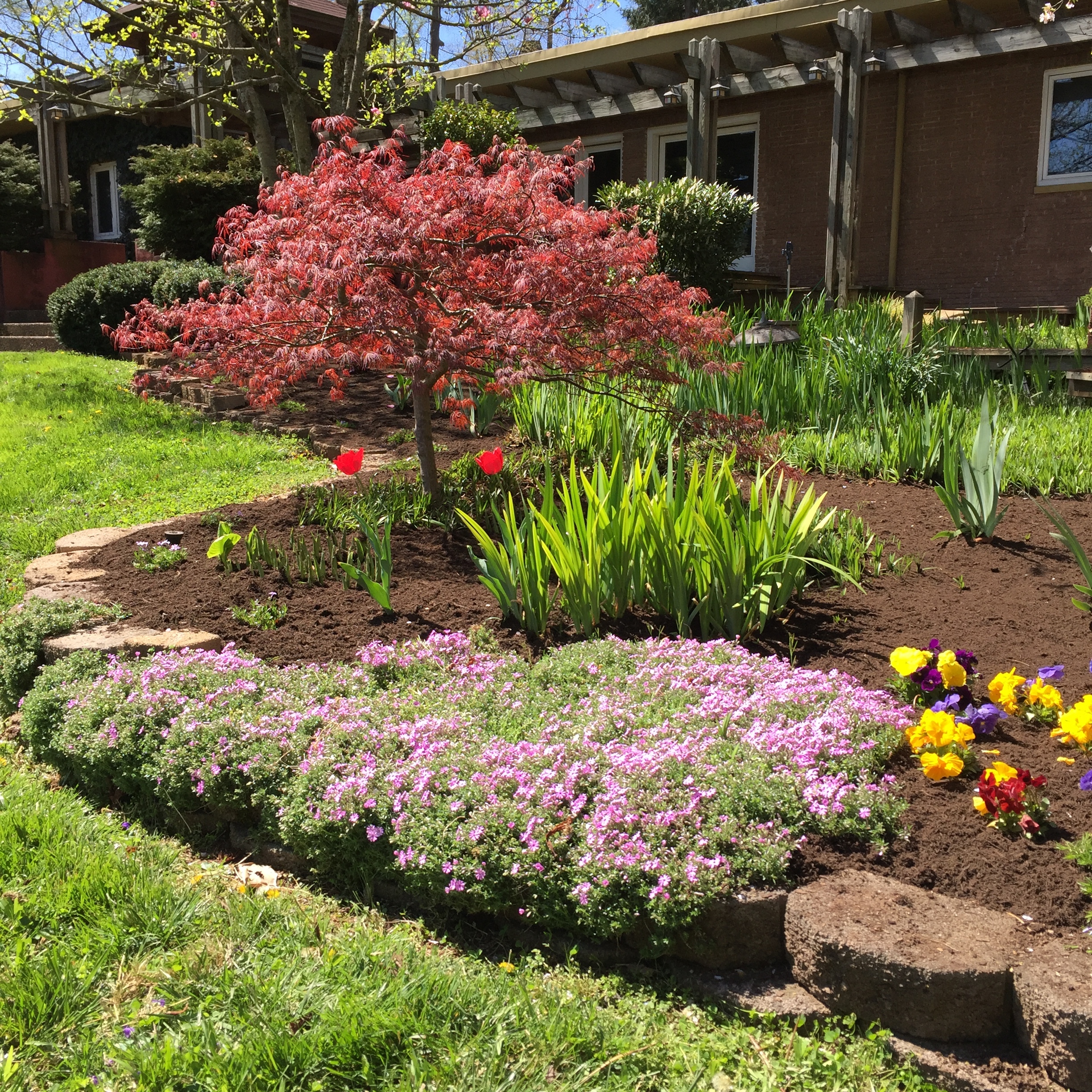 morgan flower bed