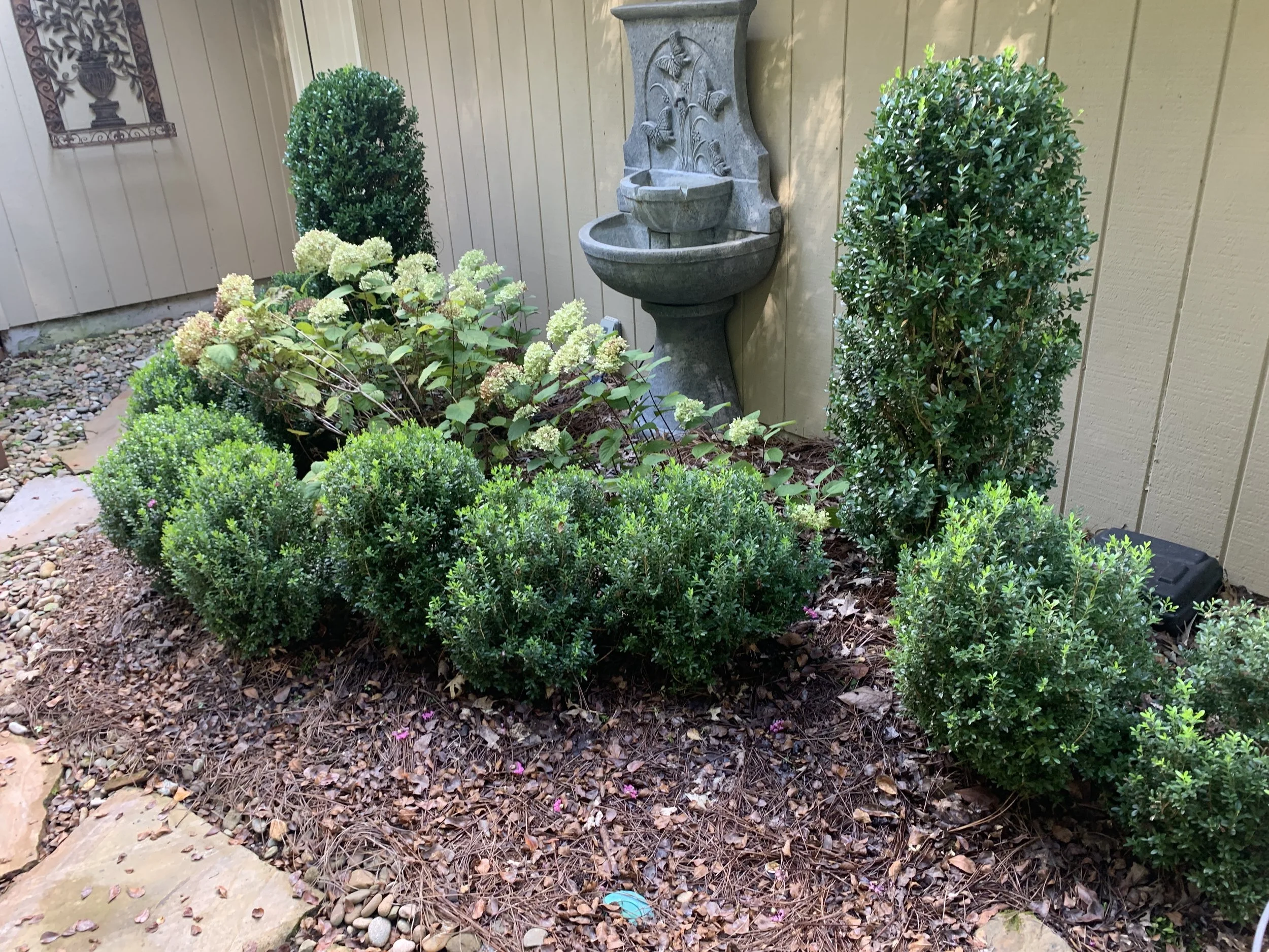 IMG_0195.jpeg