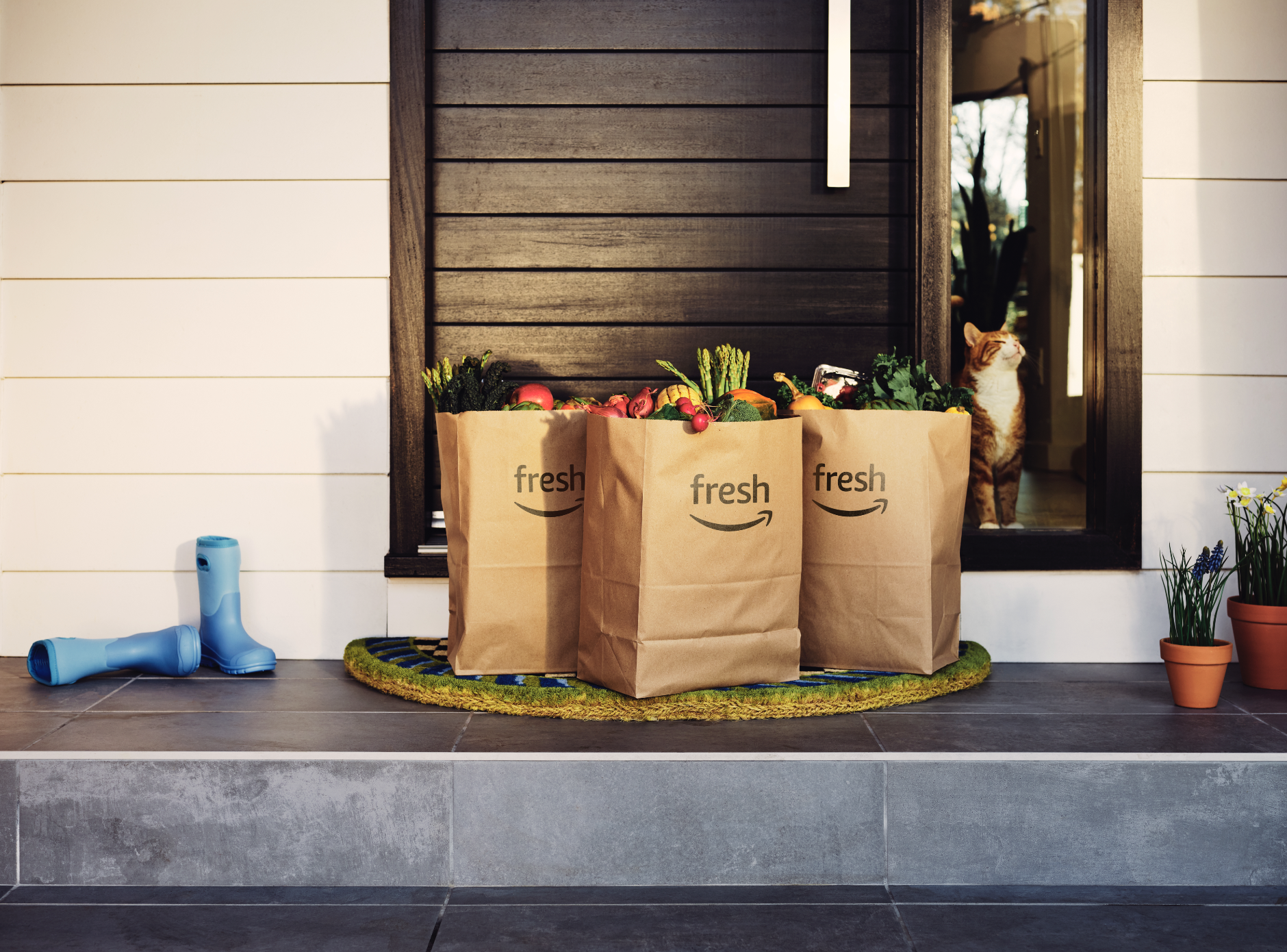 Screenshot 2026-01-25 at 12.41.33 PM.png