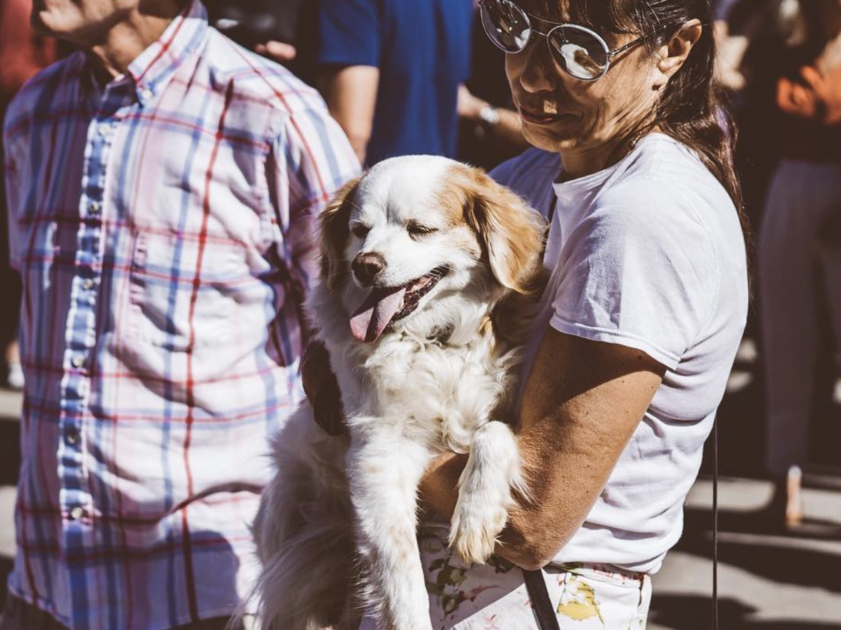 Screenshot 2026-01-25 at 1.32.35 PM.png