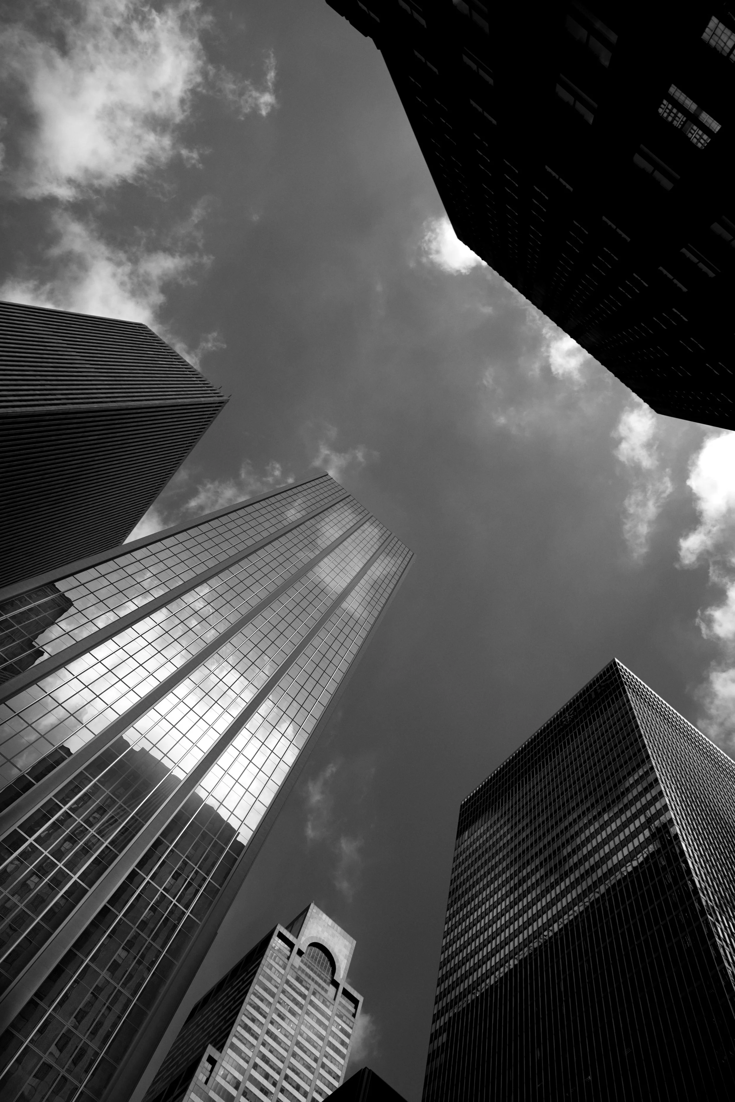 1271_BW_OP5_2.jpg