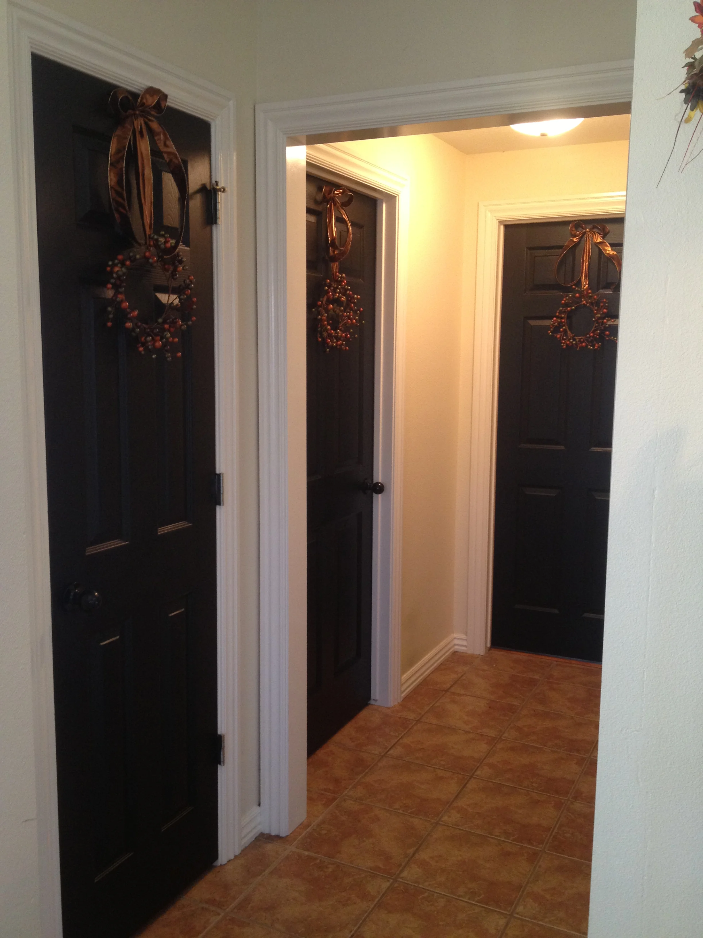 Black Interior Doors