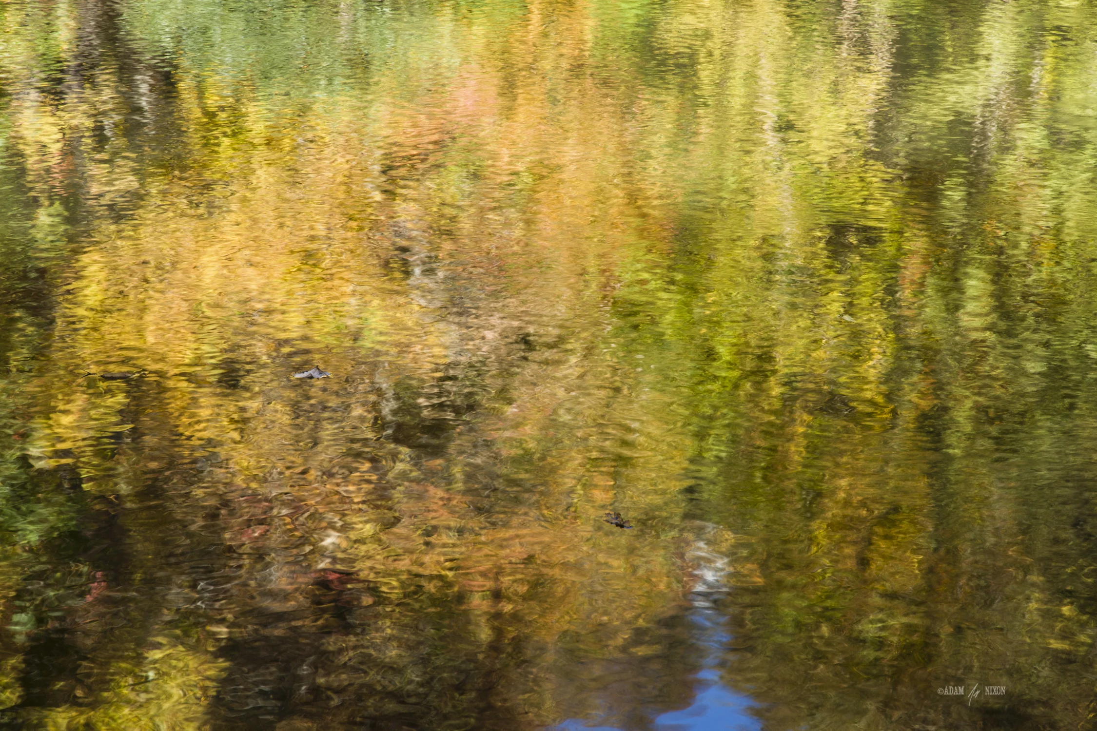 Reflection of fall foliage in a lake