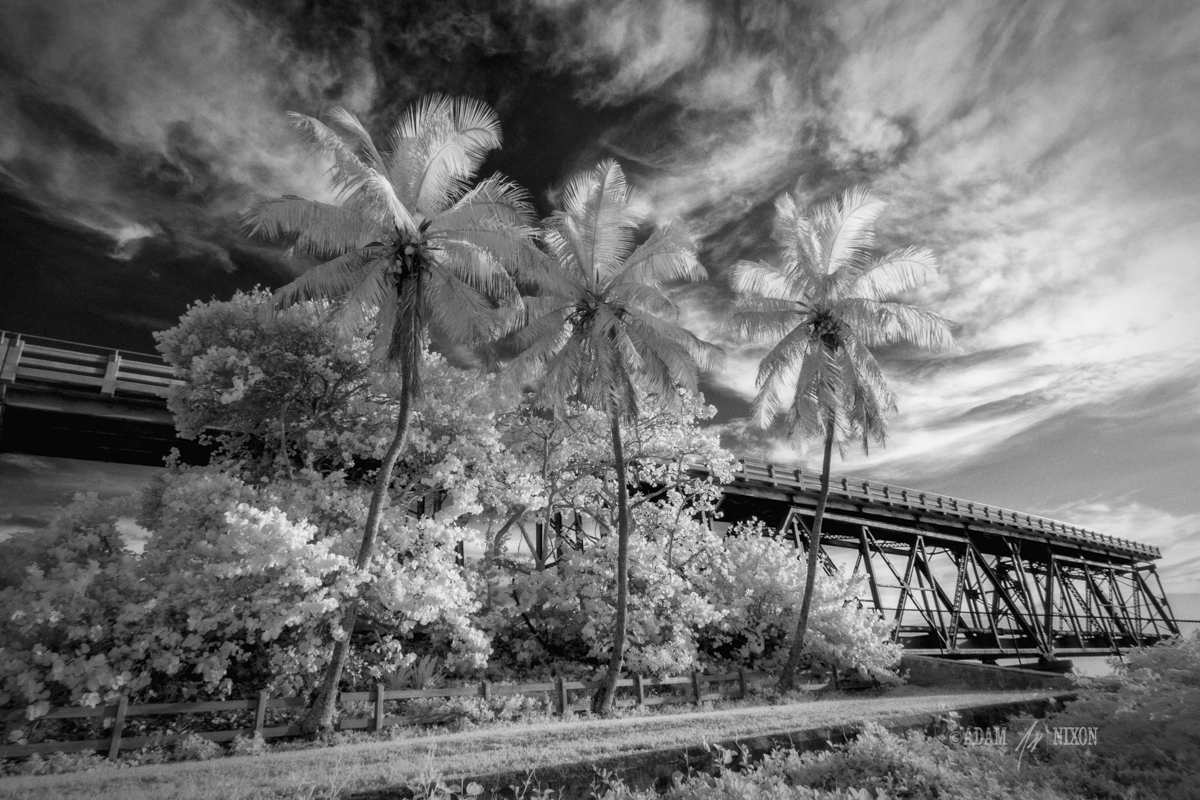 Bahia Honda Bridge