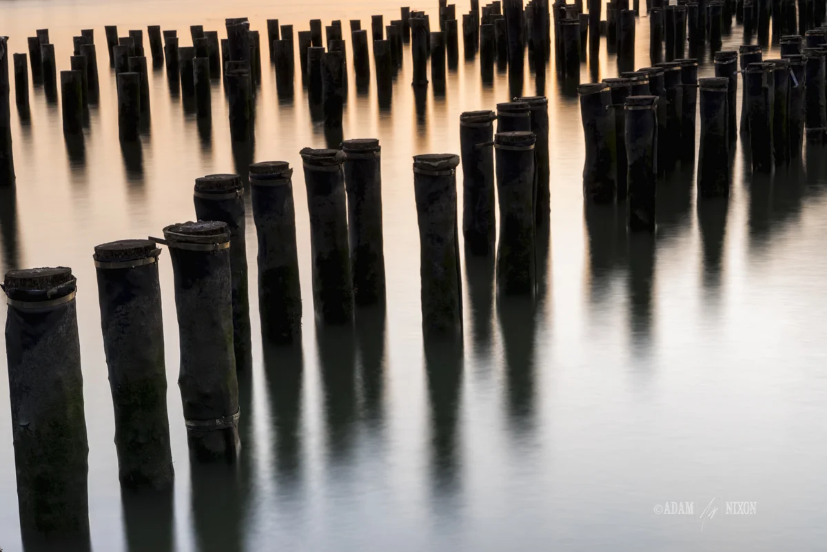 Abandoned dock pylons at Brooklyn Bridge Park