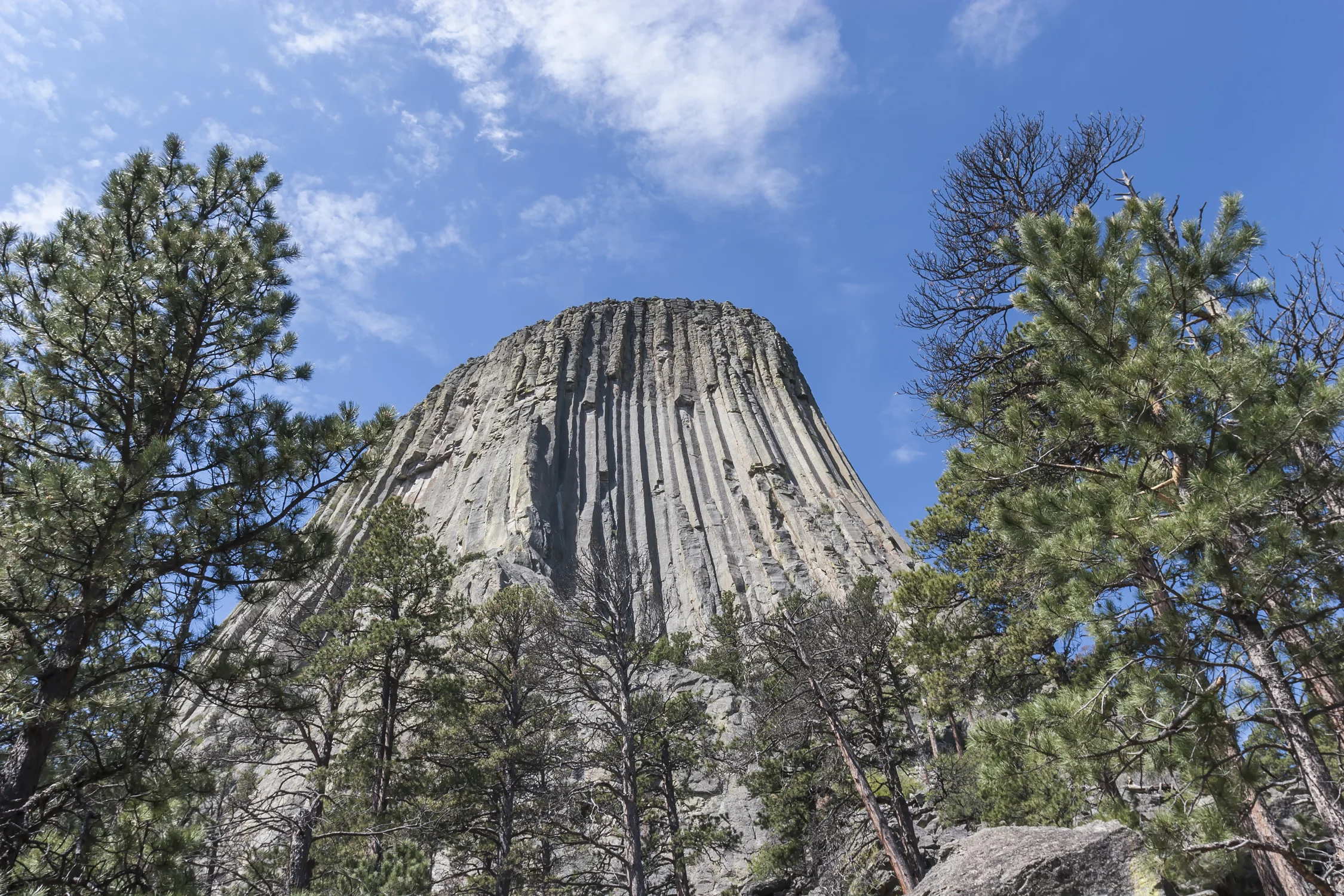 Devils Tower