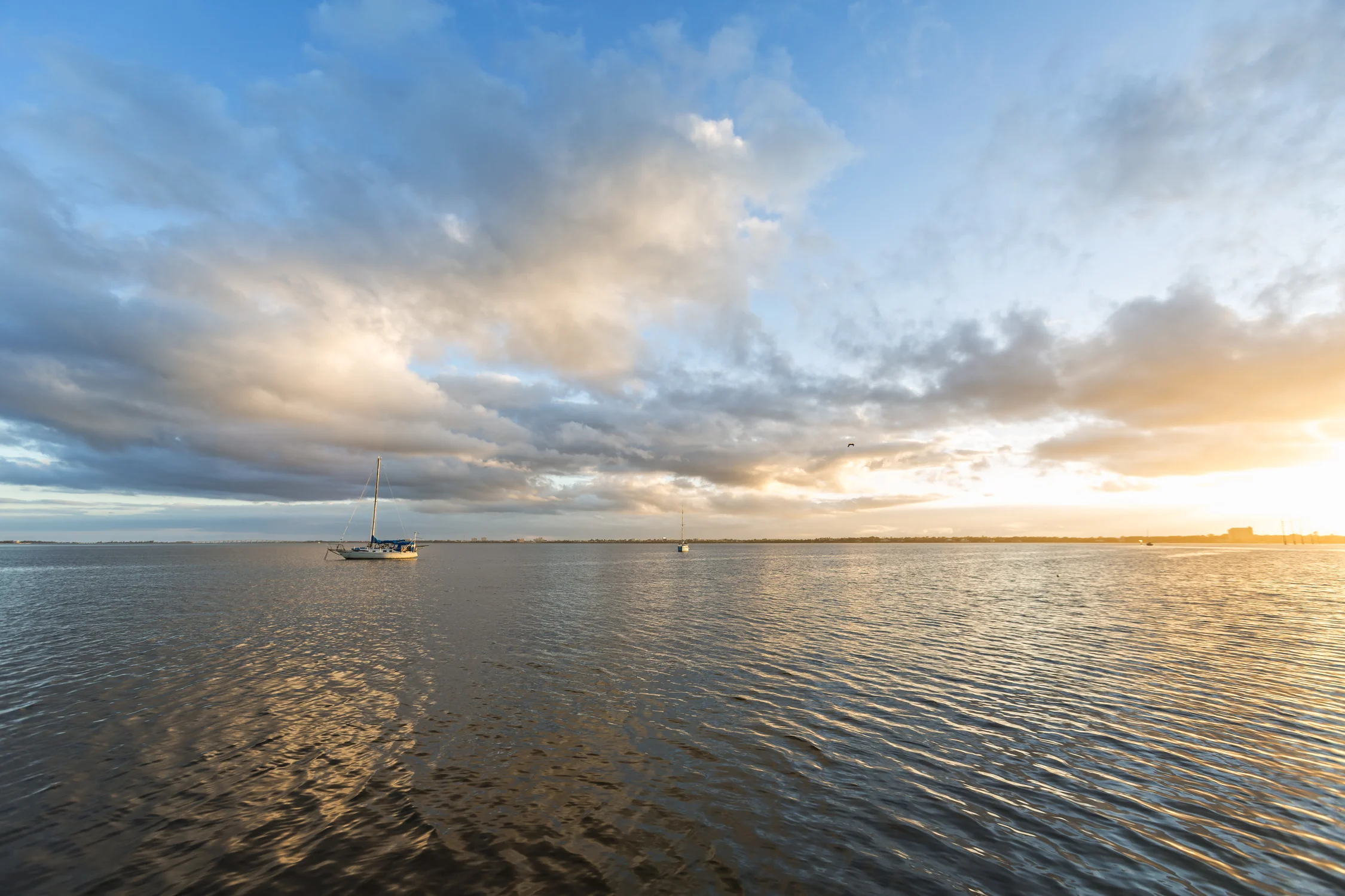 Sailboats at sunset