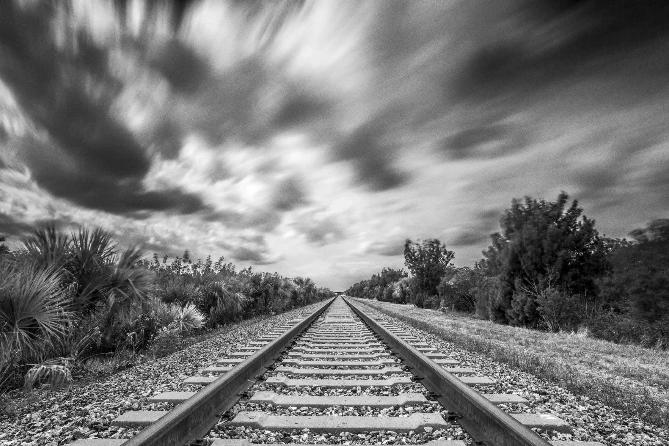 Endless Tracks