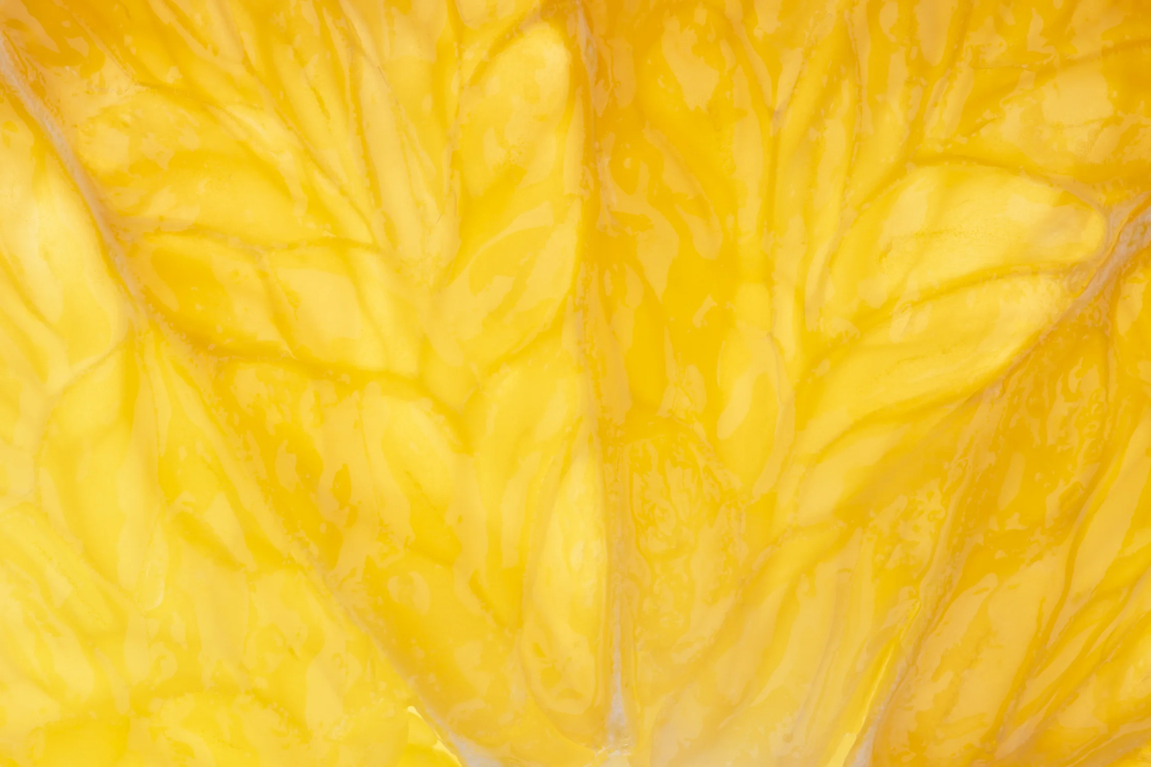 Abstract macro of a thin slice of a grapefruit