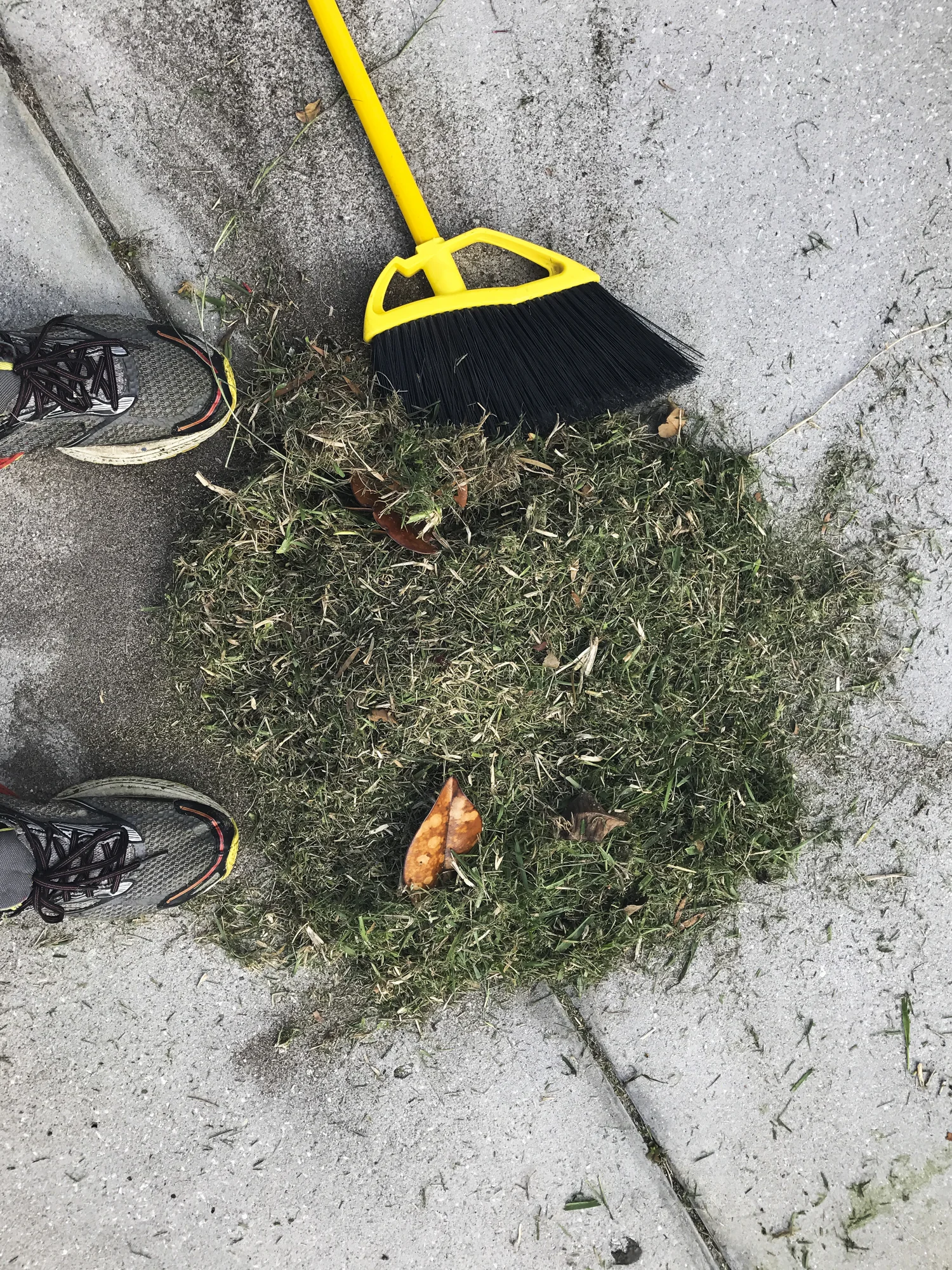 A pile of grass clippings