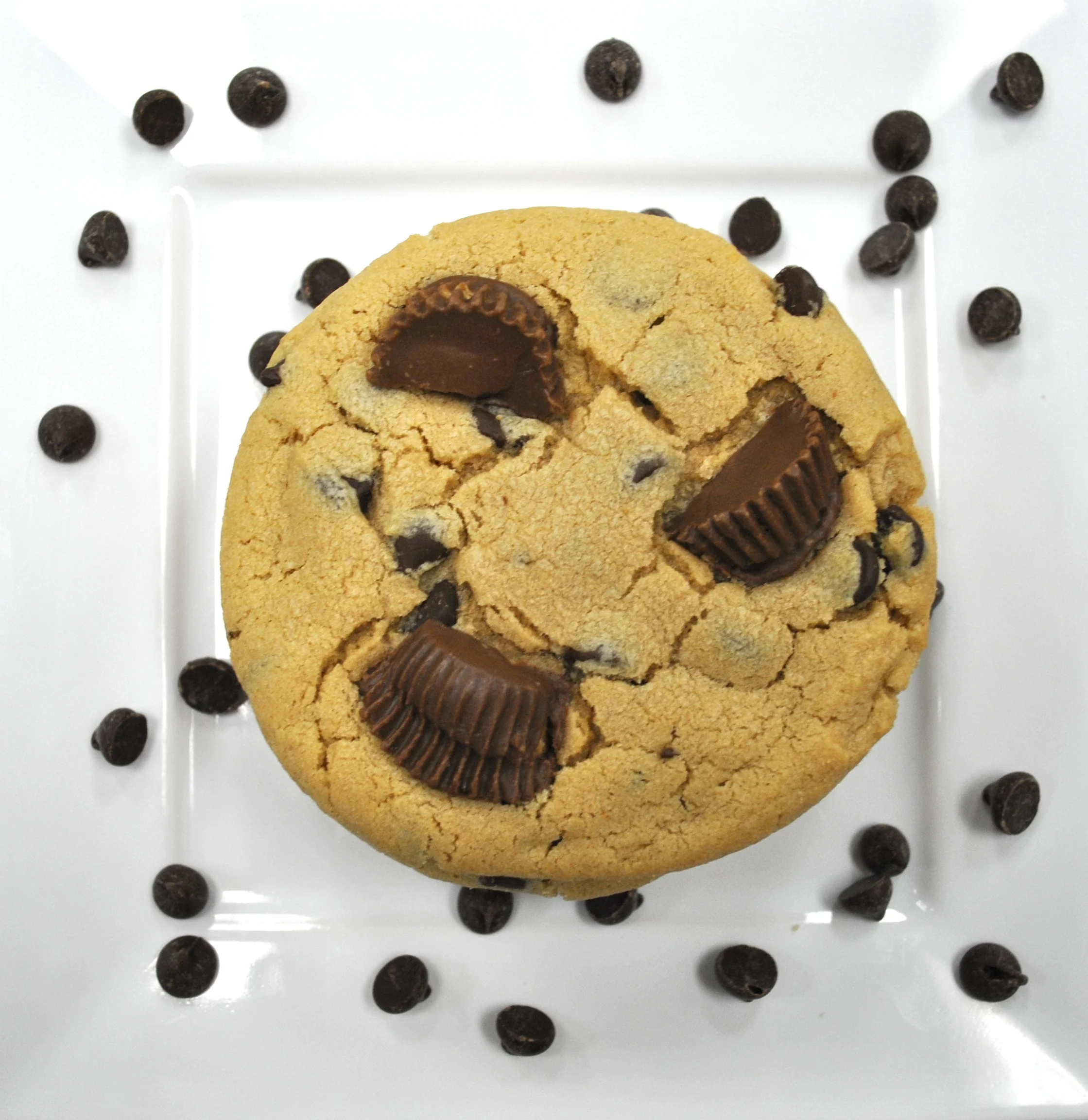 Reese's4.JPG