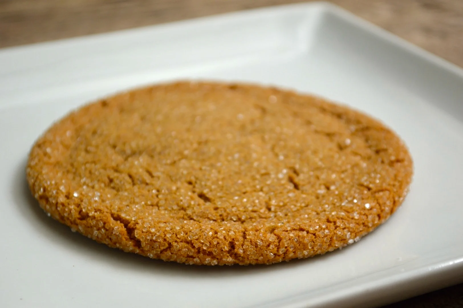 gingersnapbig3.JPG