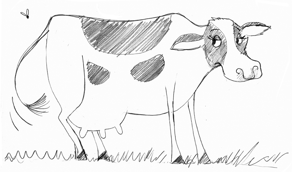 sketch-cow-SS.jpg