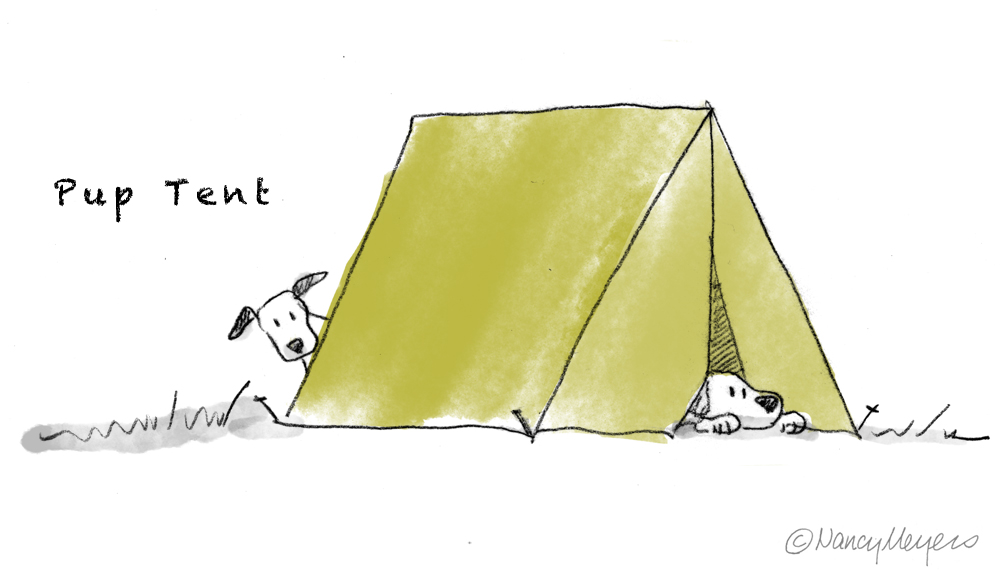 Pup-tent-SS.jpg