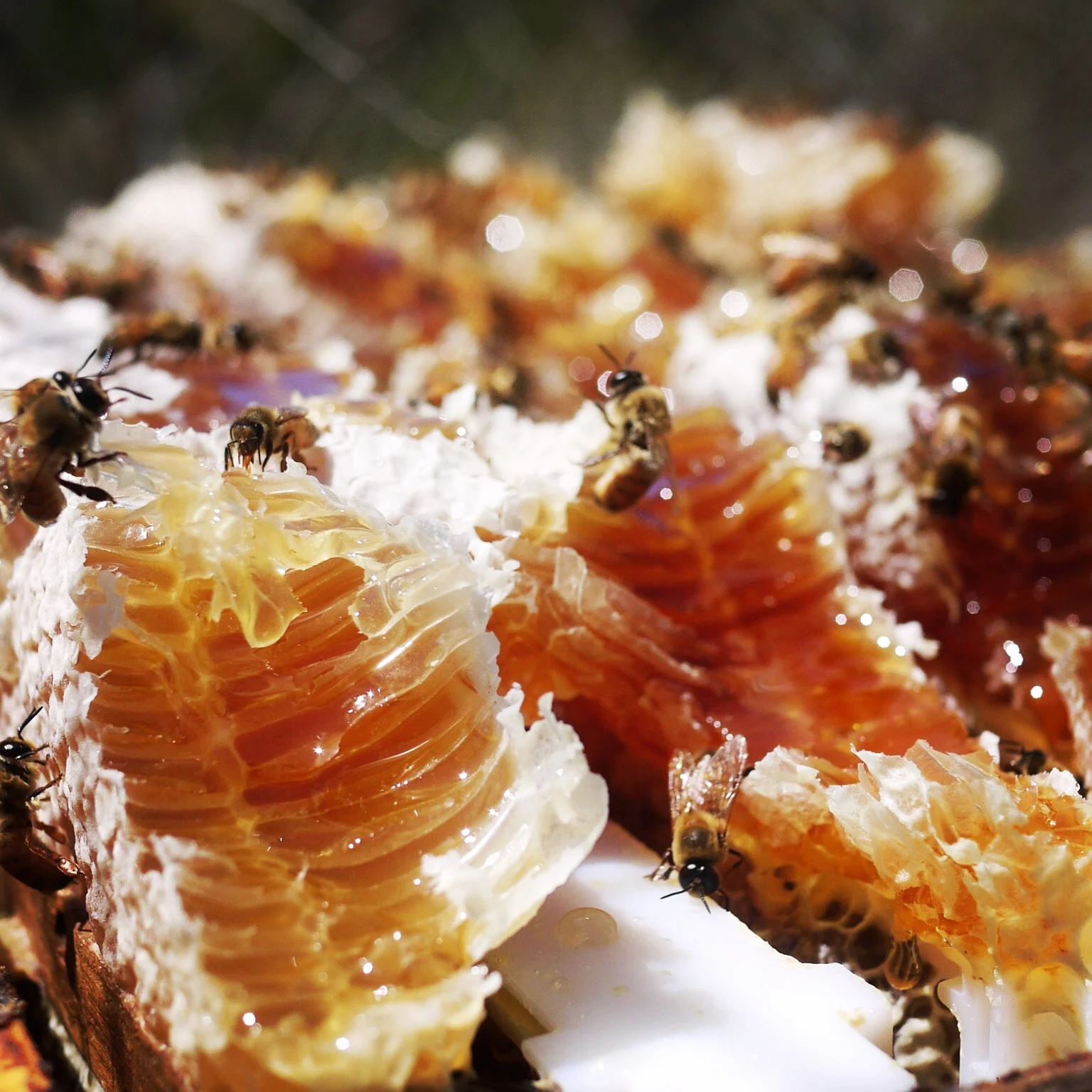 Cheeeeesy.24 Don't be a dick