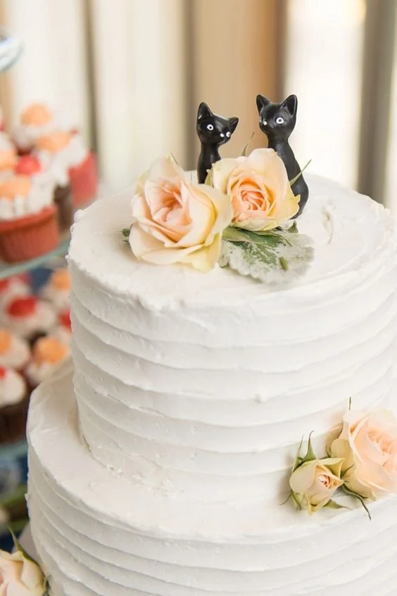 Tidewaterandtulle.com