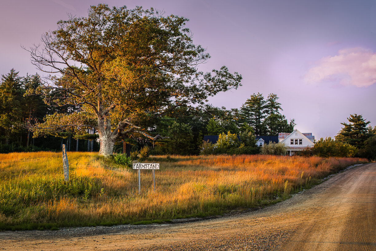 The Farm Stand.jpg