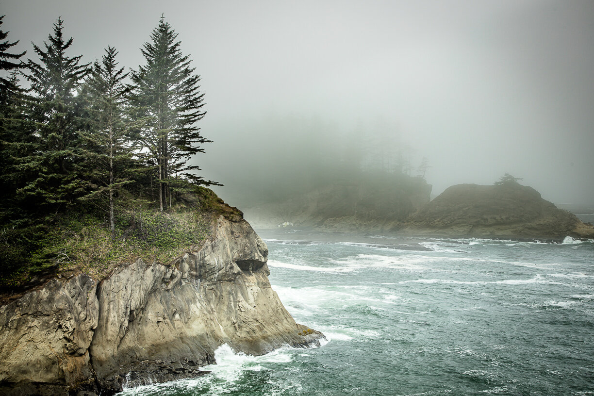 Trees Among the Mist.jpg