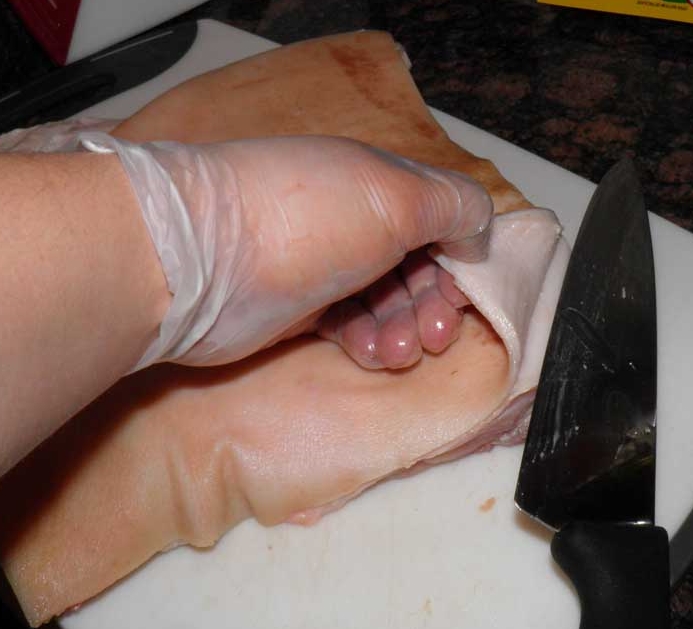 Starting the Skinning Process