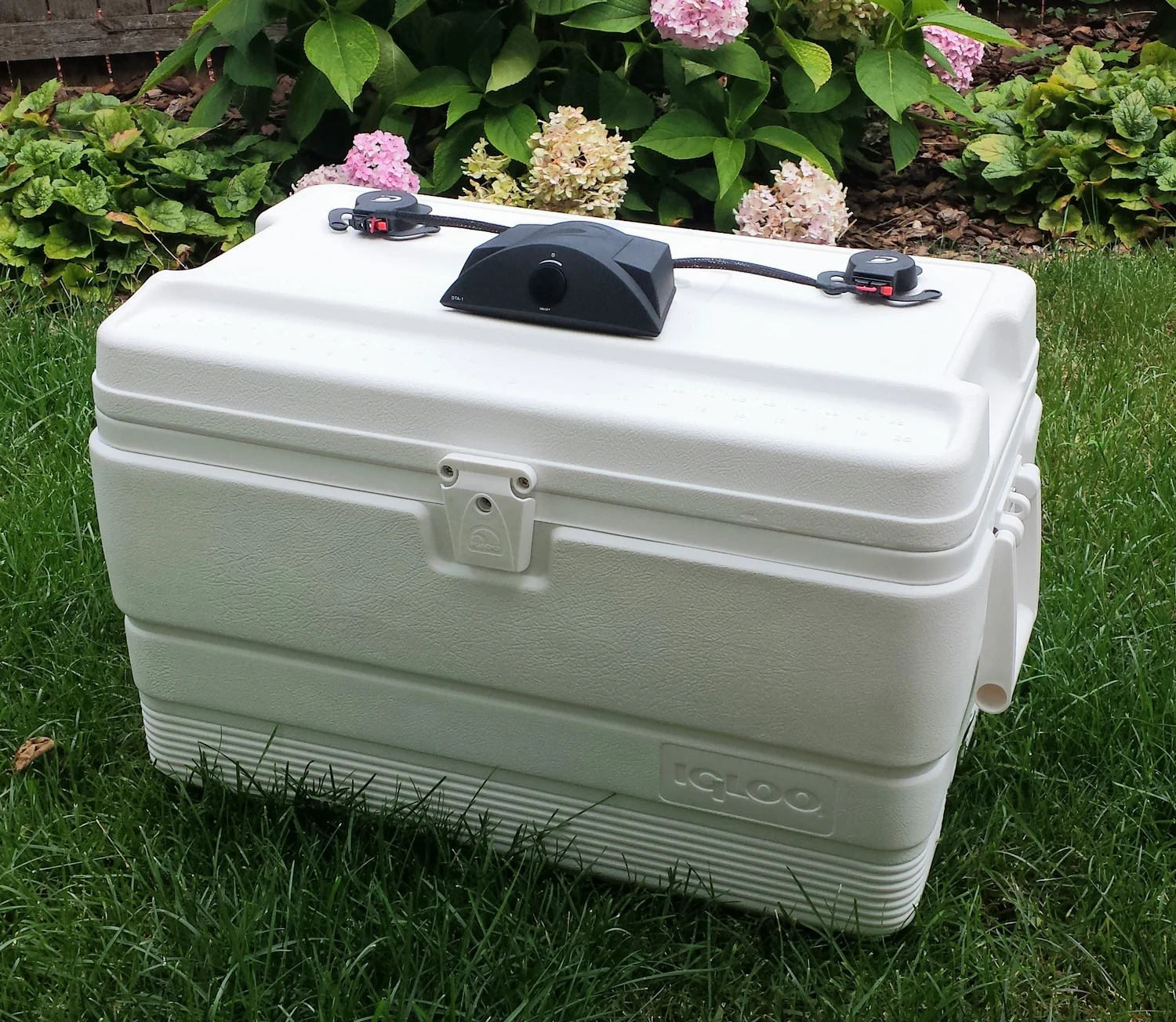 5 Minute Cooler Speaker