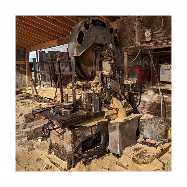 How's that for a band saw? Wonder if Home Depot sells blades for this thing!.
.
.
.
.
@centurymilllumber 
#northarrow #lumber #tool #keepcraftalive #woodmill #finehomebuilding #finewoodwork #carpentry #constuction #renovation #torontobuilders #toront