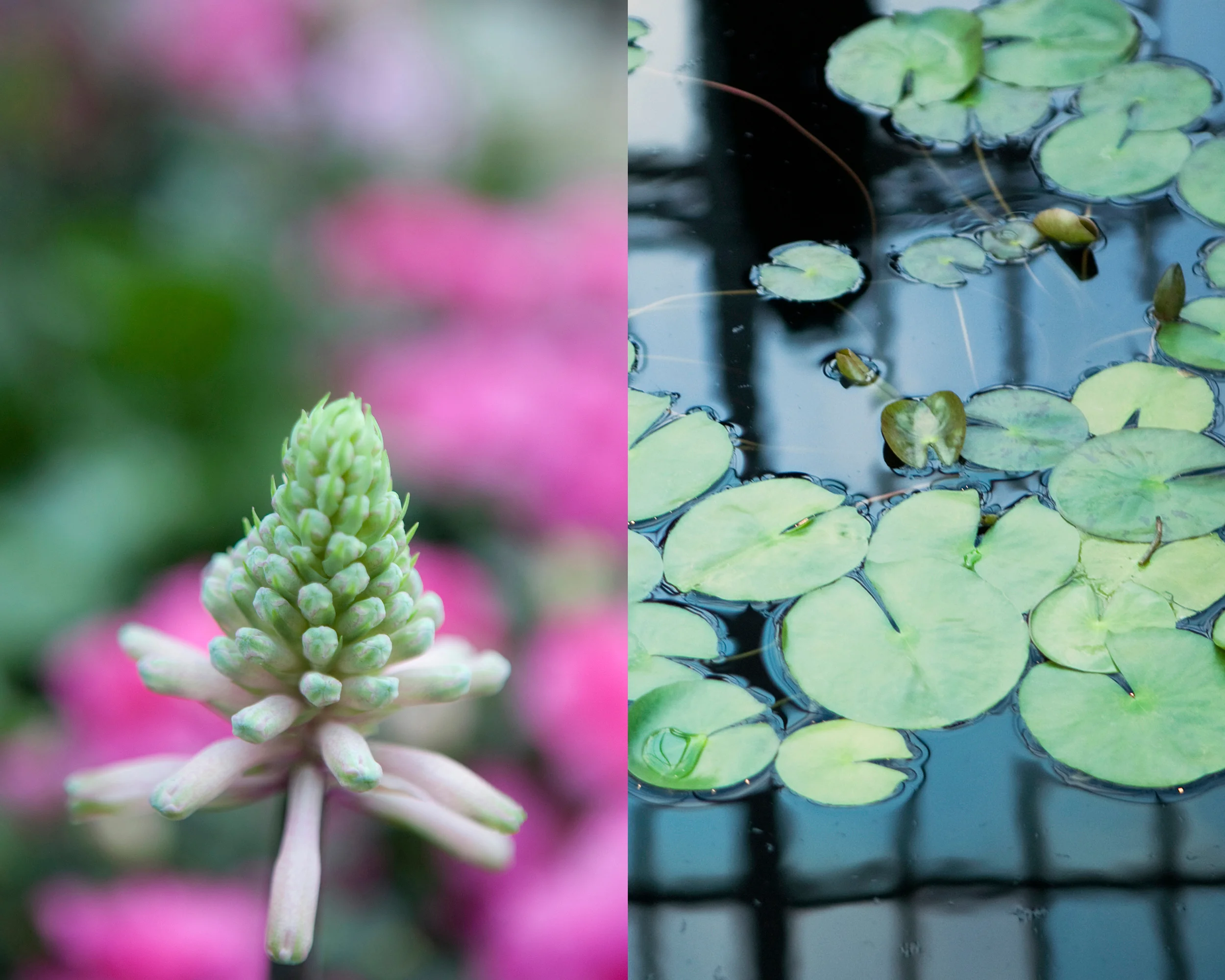 Diptych3.jpg