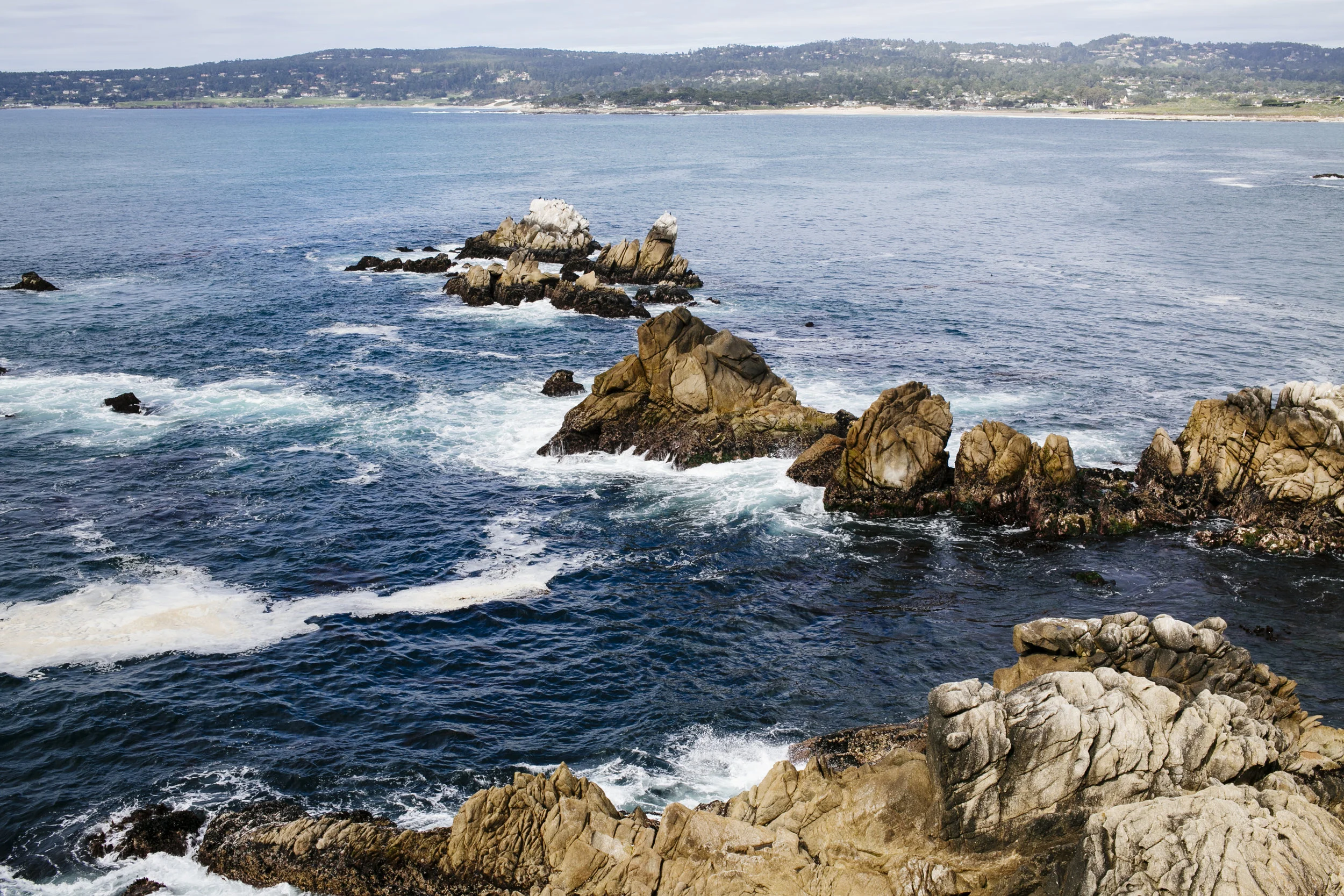 Photograph by Kara Brodgesell