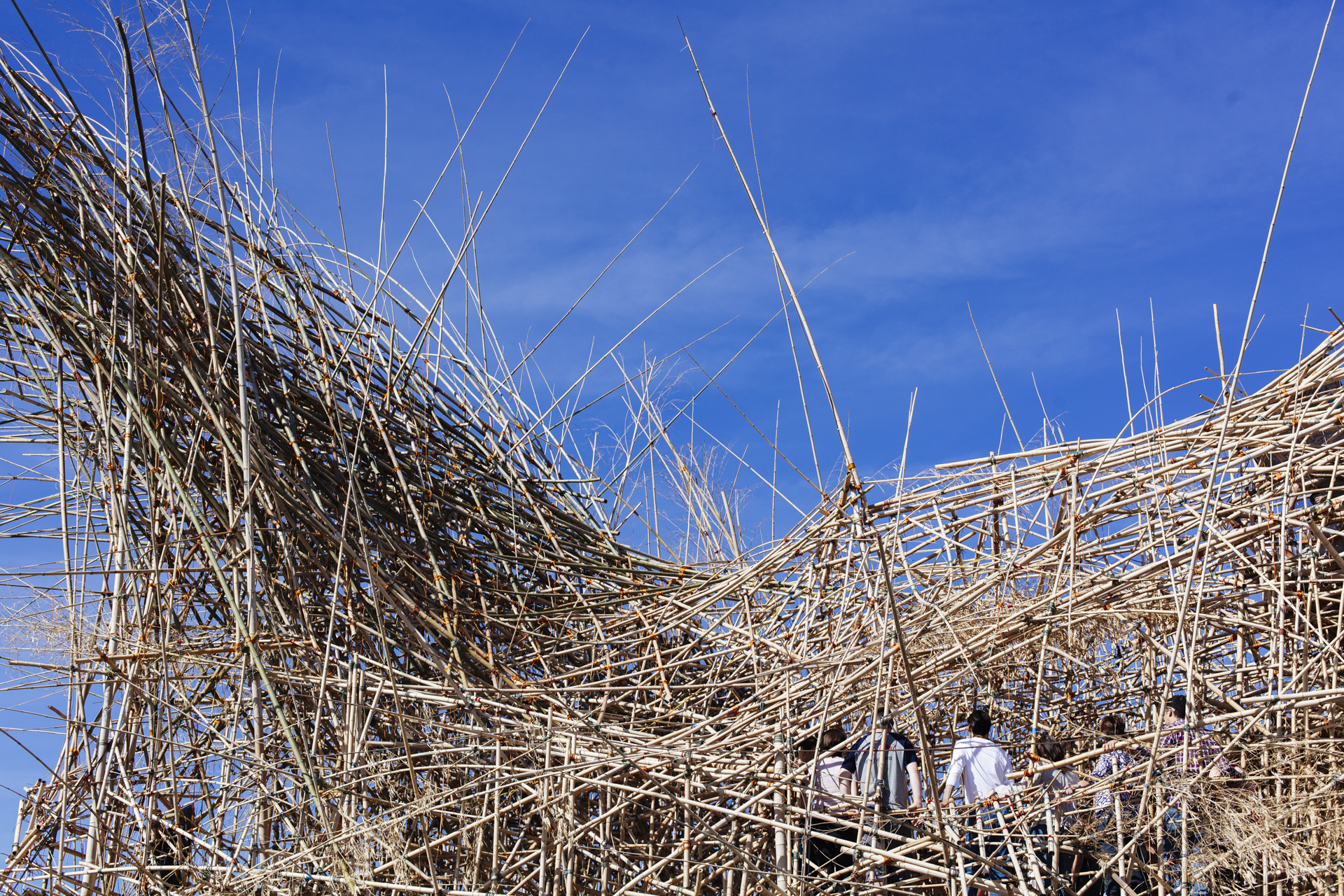 Brodgesell_BigBambuNYC_MG_0552.jpg