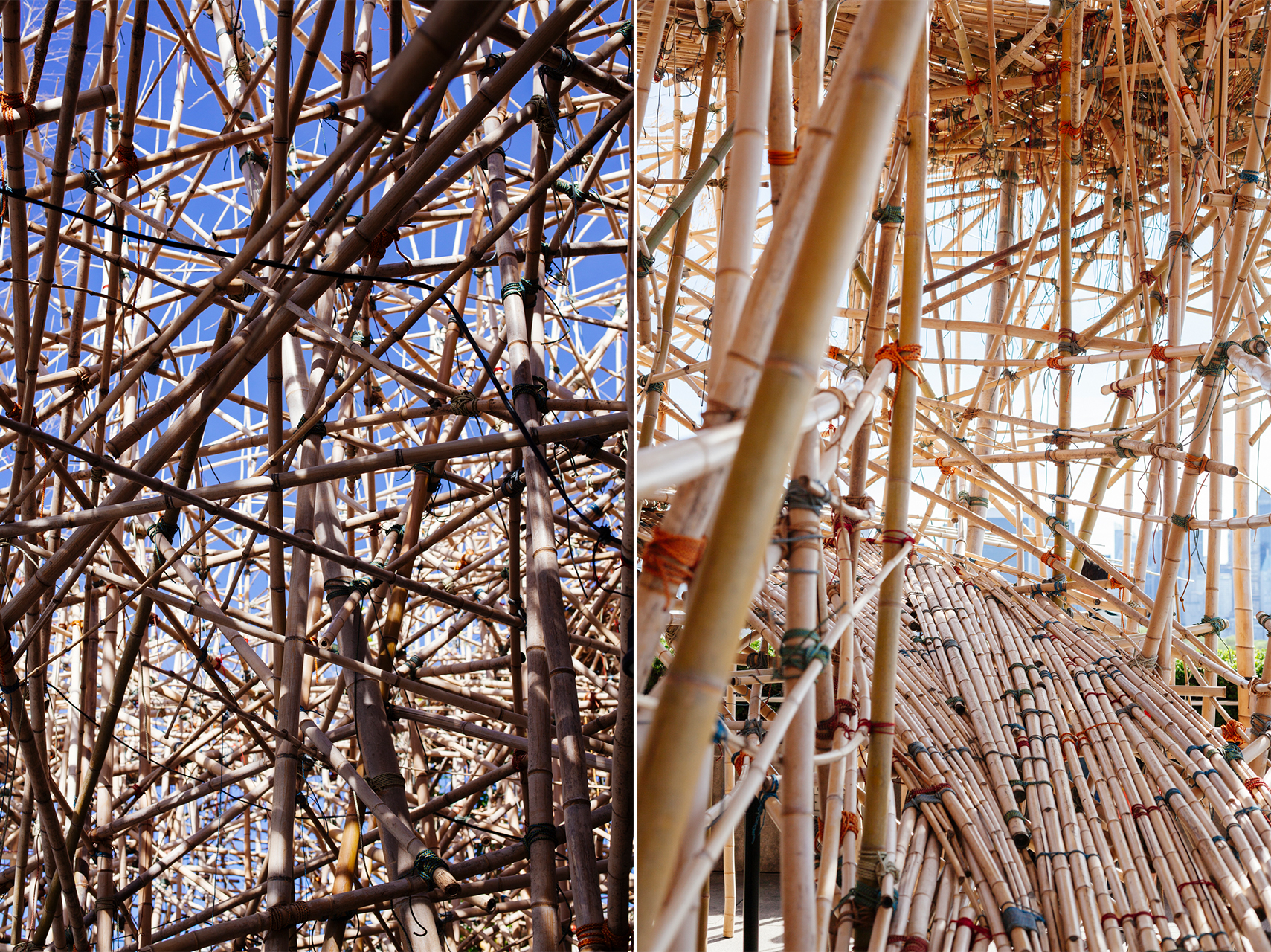 Brodgesell_BigBambuNYC_Verticalpairs2 copy.jpg