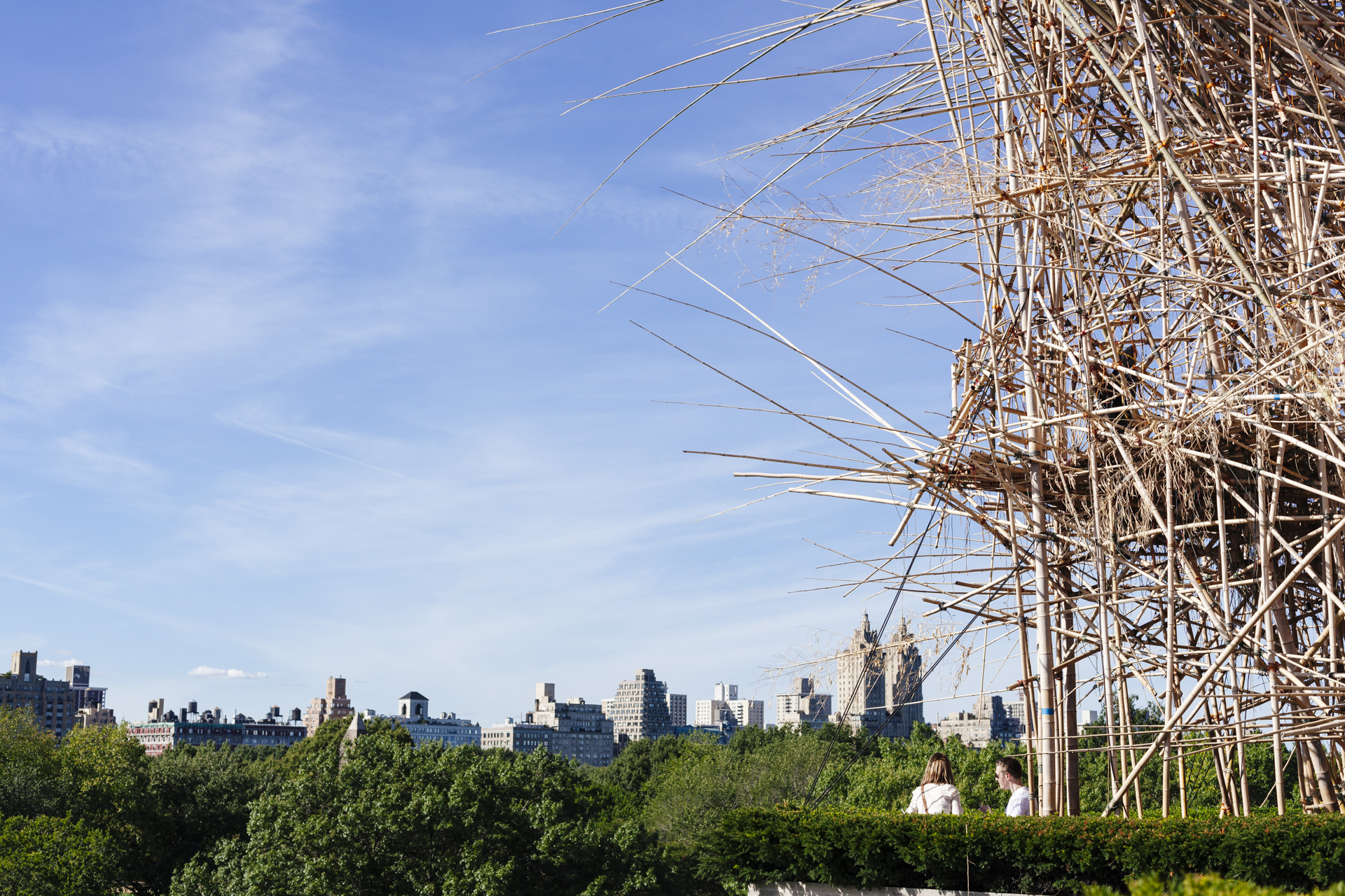 Brodgesell_BigBambuNYC_MG_0553.jpg