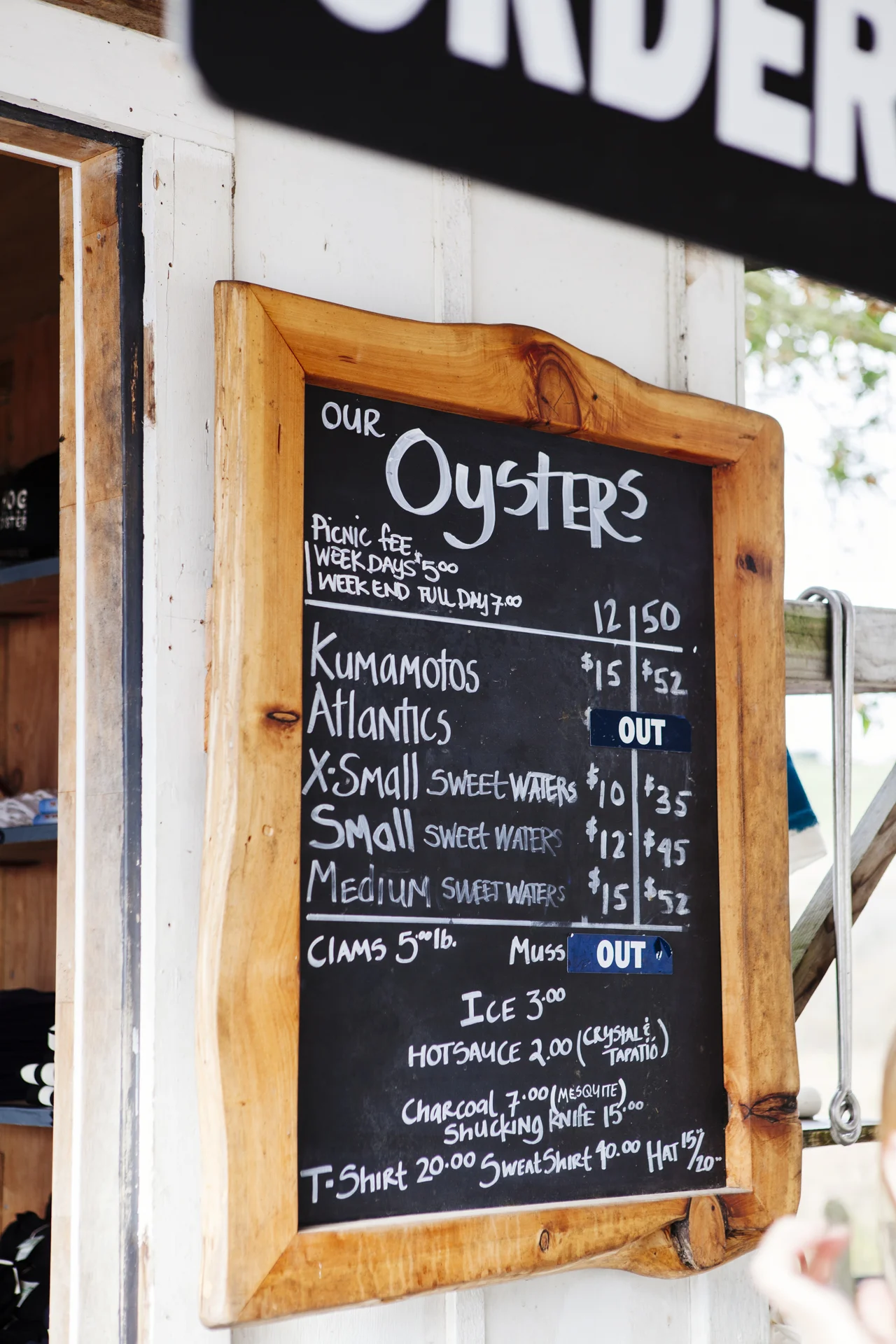 kbrodgesell_oysters2011_103-2.jpg