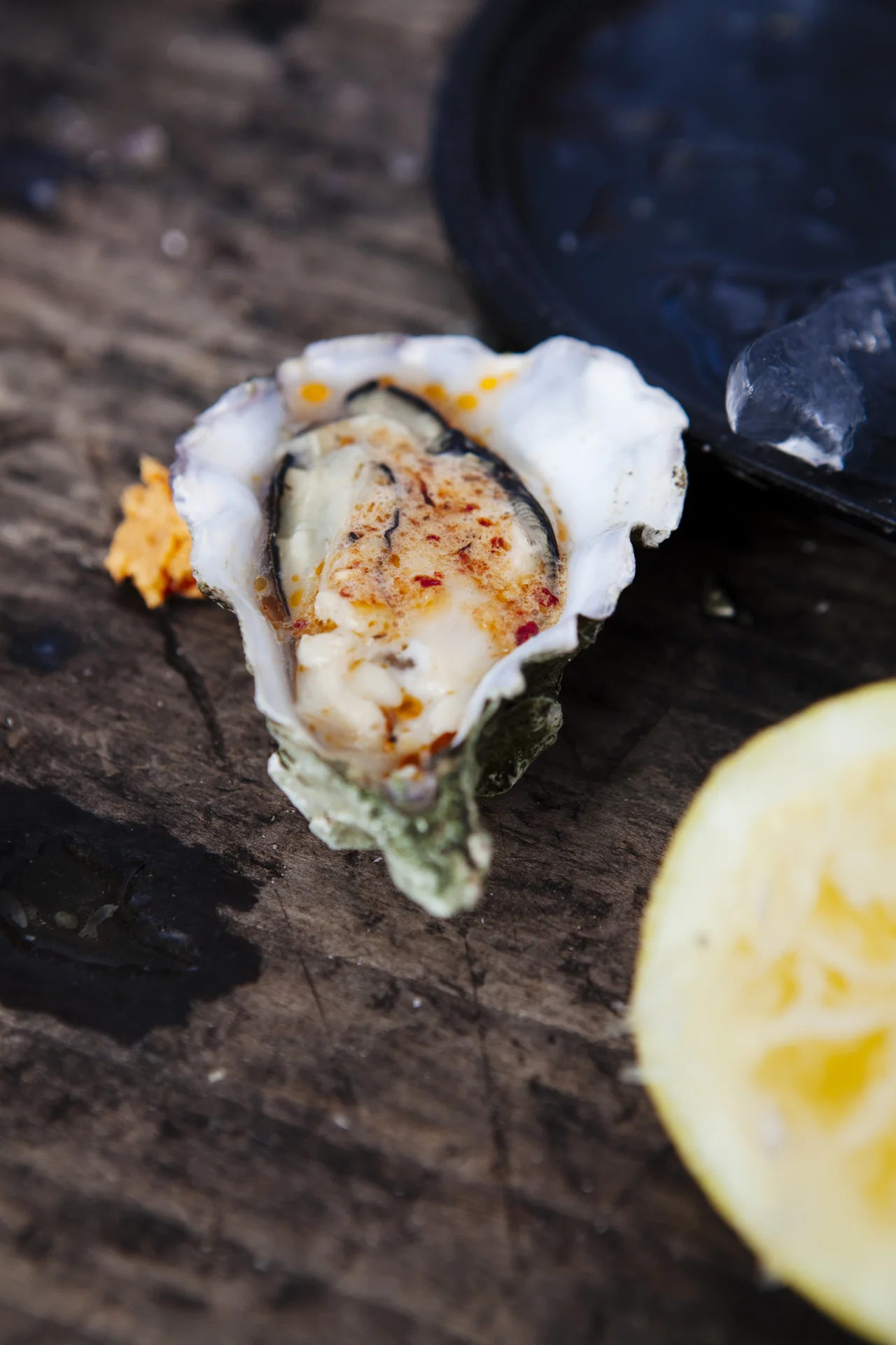 kbrodgesell_oysters2011_075-2.jpg