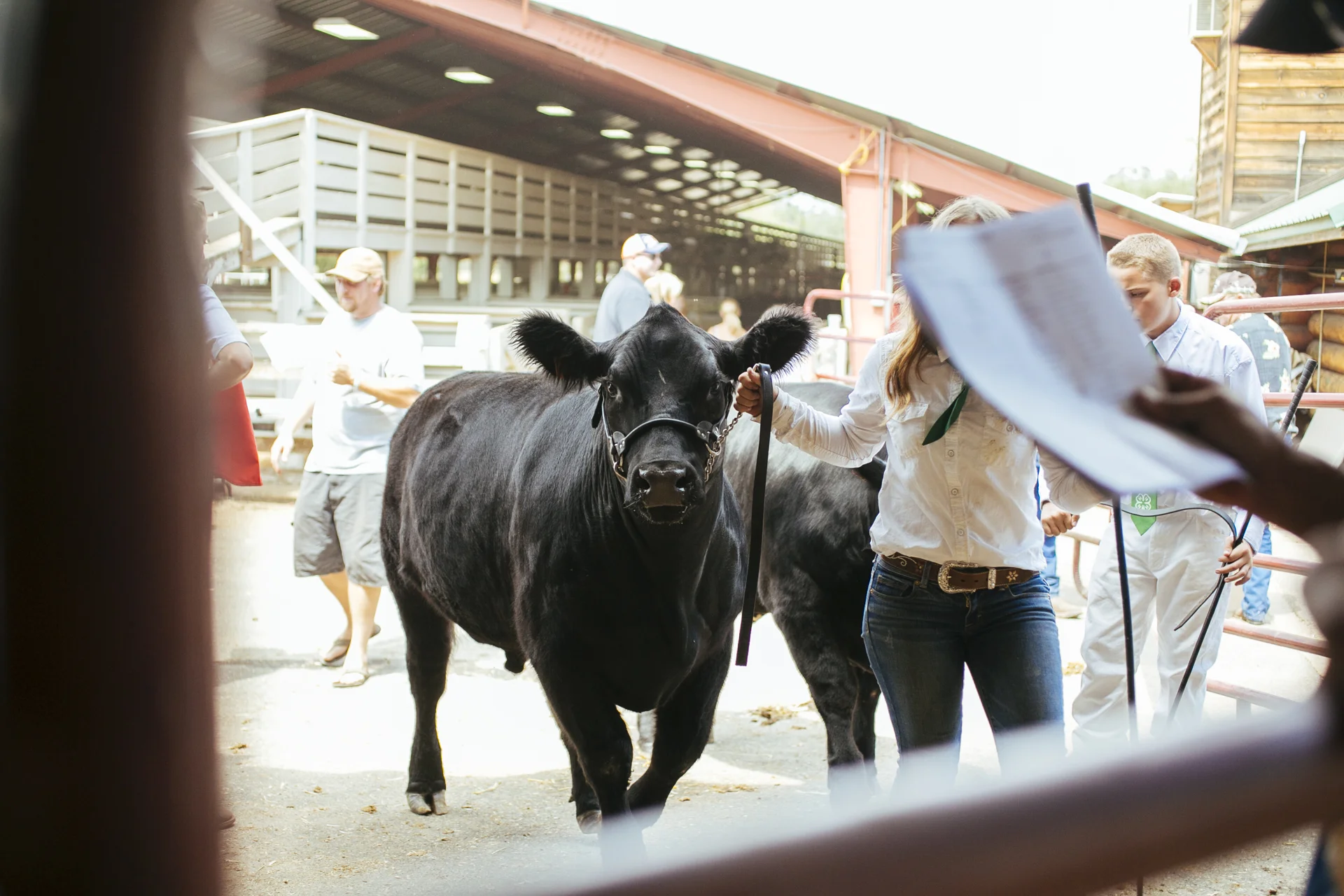 KaraBrodgesell_CountyFair_KB_2011.jpg