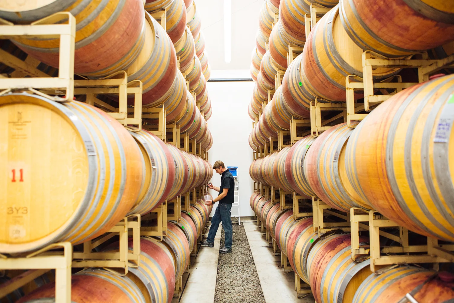 Brodgesell_EmeritusVineyard_066.jpg