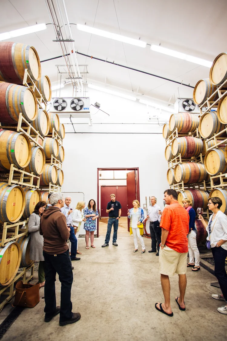 Brodgesell_EmeritusVineyard_088.jpg