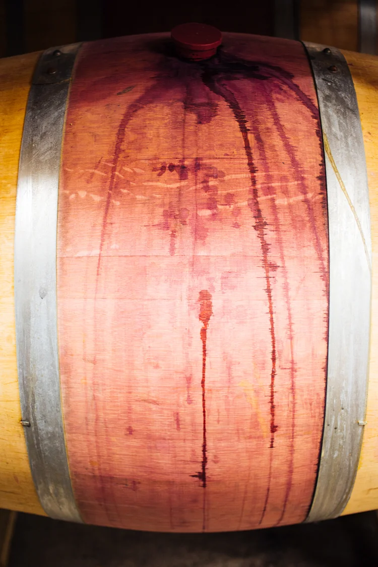 Brodgesell_EmeritusVineyard_136.jpg