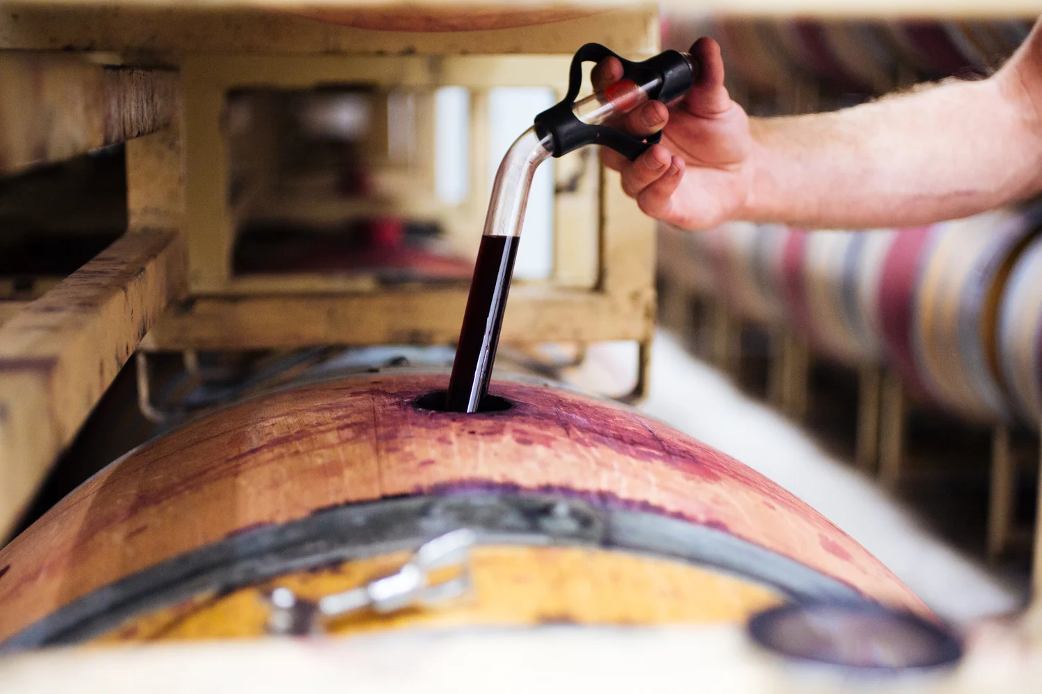 Brodgesell_EmeritusVineyard_141.jpg