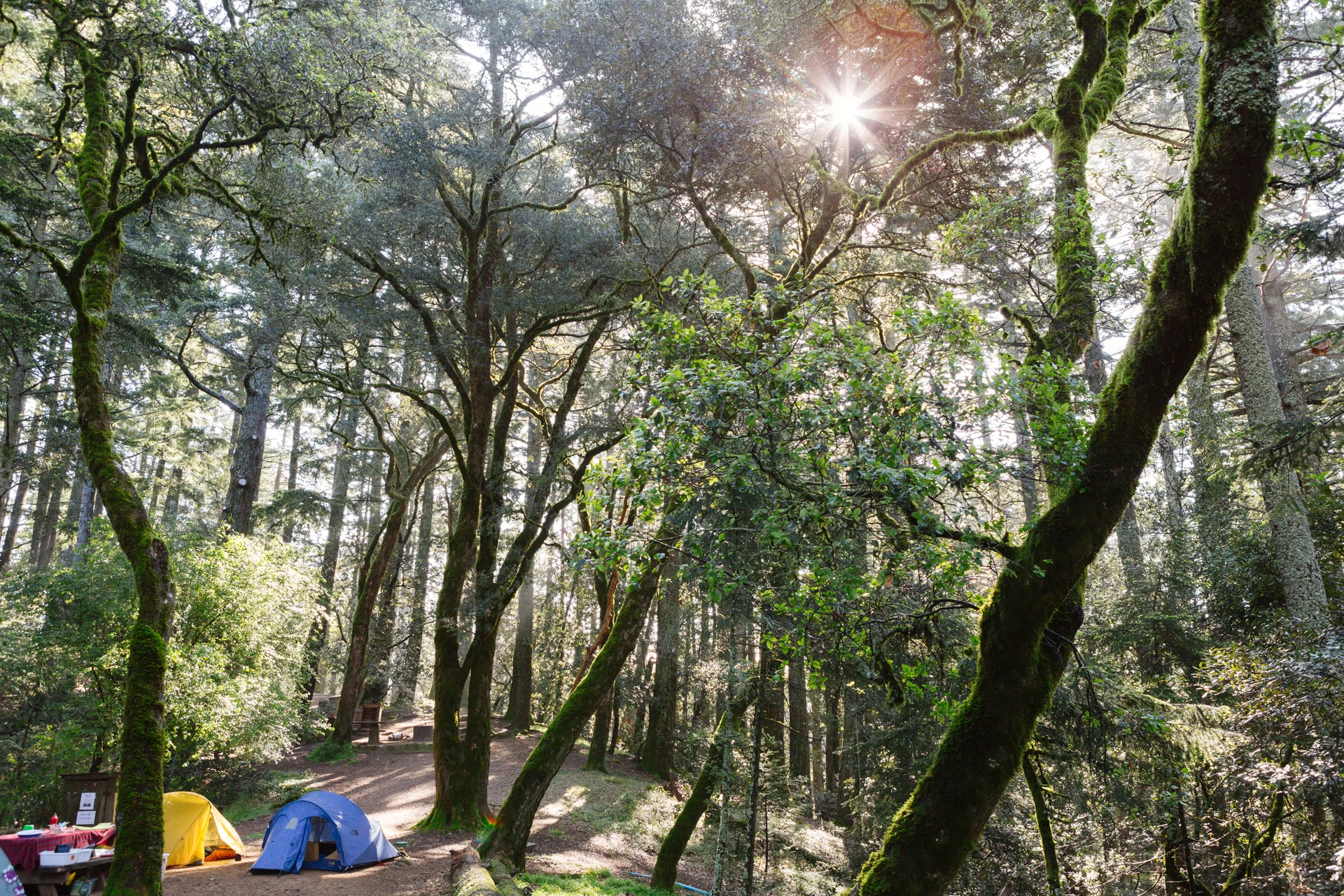TrailMavens_MtTam_JB_1806.jpg