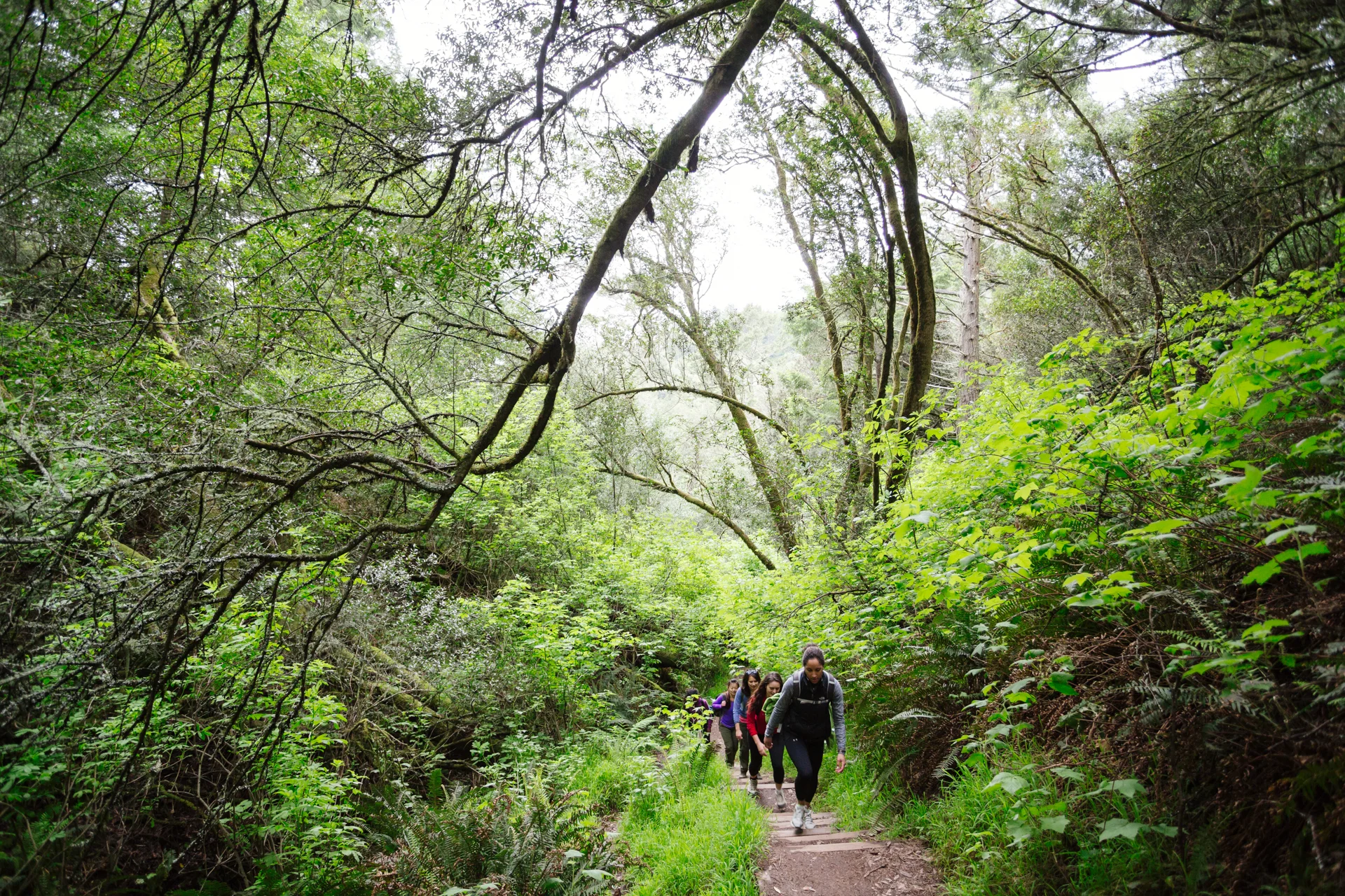 TrailMavens_MtTam_JB_1450.jpg